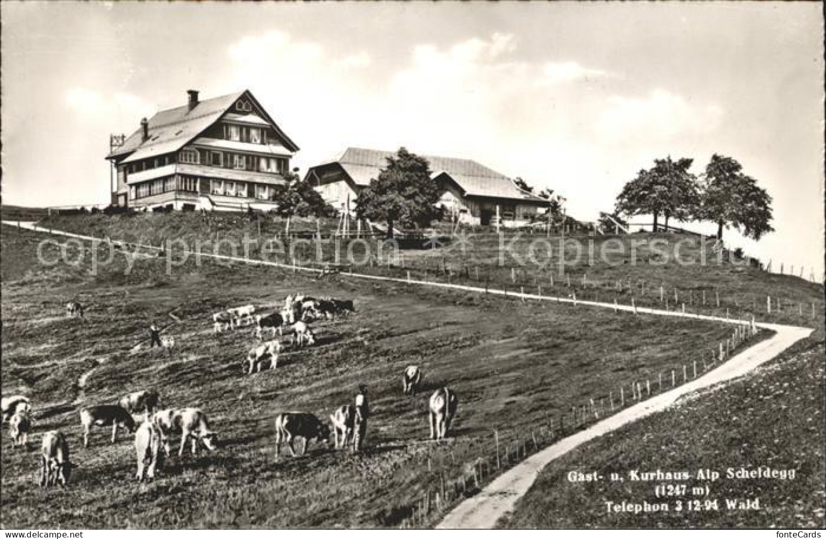 11995418 Wald ZH Gast Und Kurhaus Alp Scheidegg Wald ZH - Altri & Non Classificati