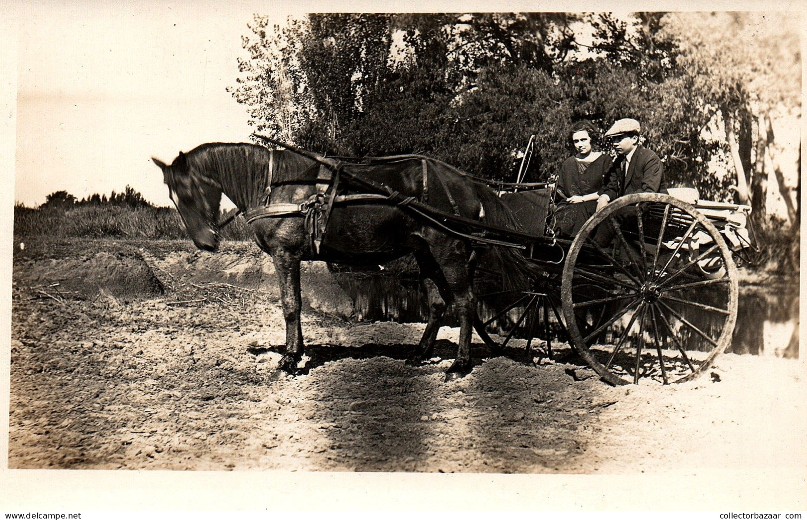 Uruguay Ethnic Postcard Horse Carriage Vintage Real Photo One Of A Kind ! - Pferde