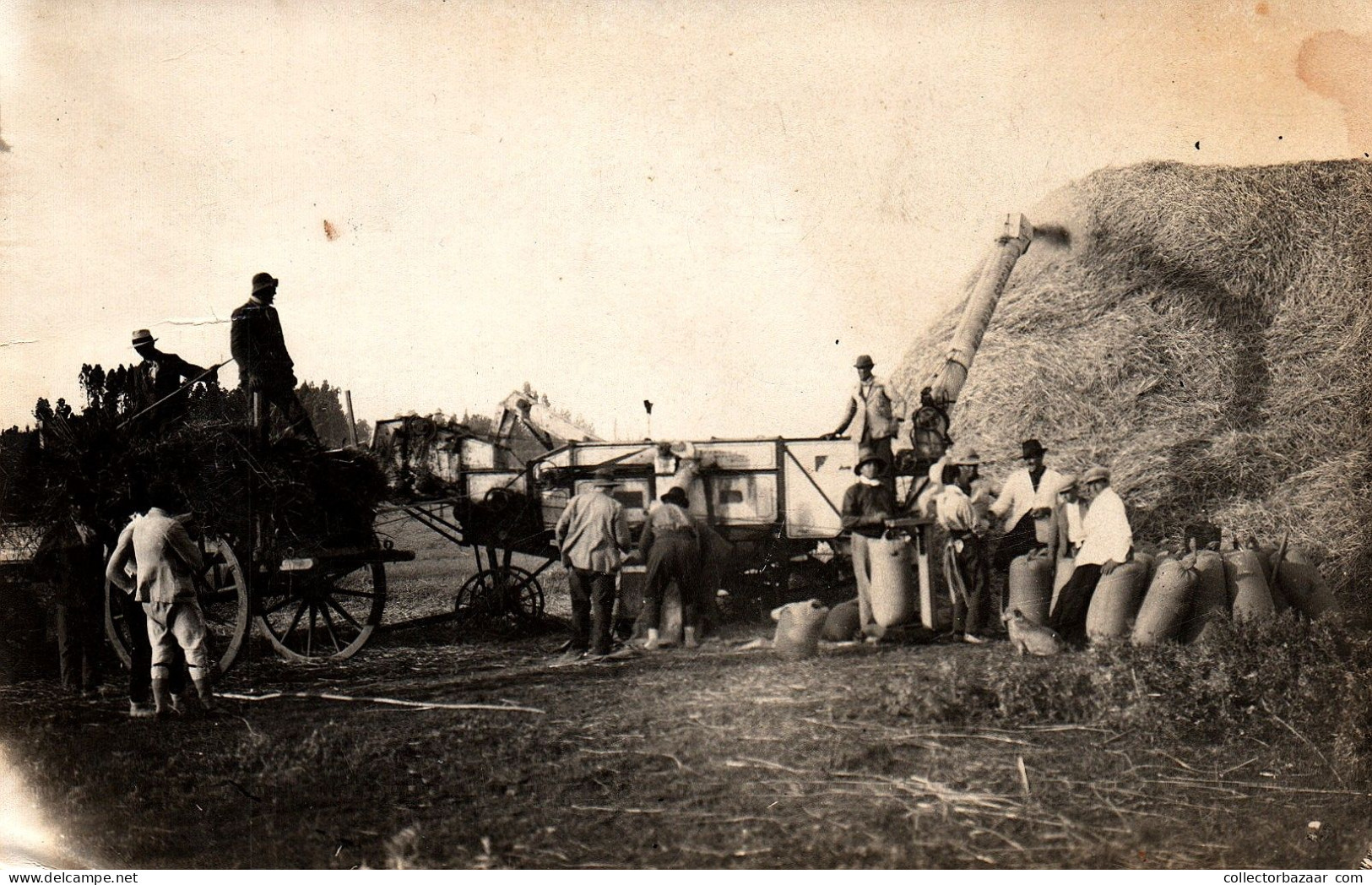 Uruguay Ethnic Postcard Wheat Harvest Thresher Vintage Real Photo One Of A Kind ! - Trattori