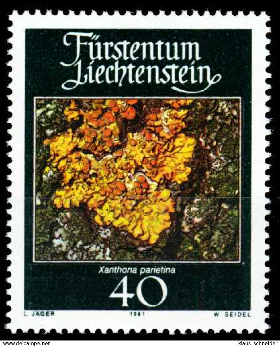 LIECHTENSTEIN 1981 Nr 776 Postfrisch SB46486 - Unused Stamps