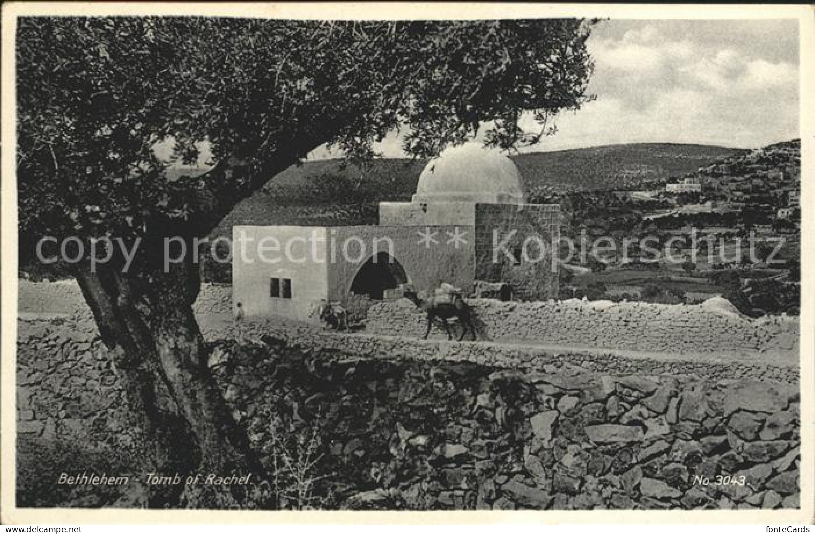 11992332 Bethlehem Yerushalayim Tomb Of Rachel  - Israel