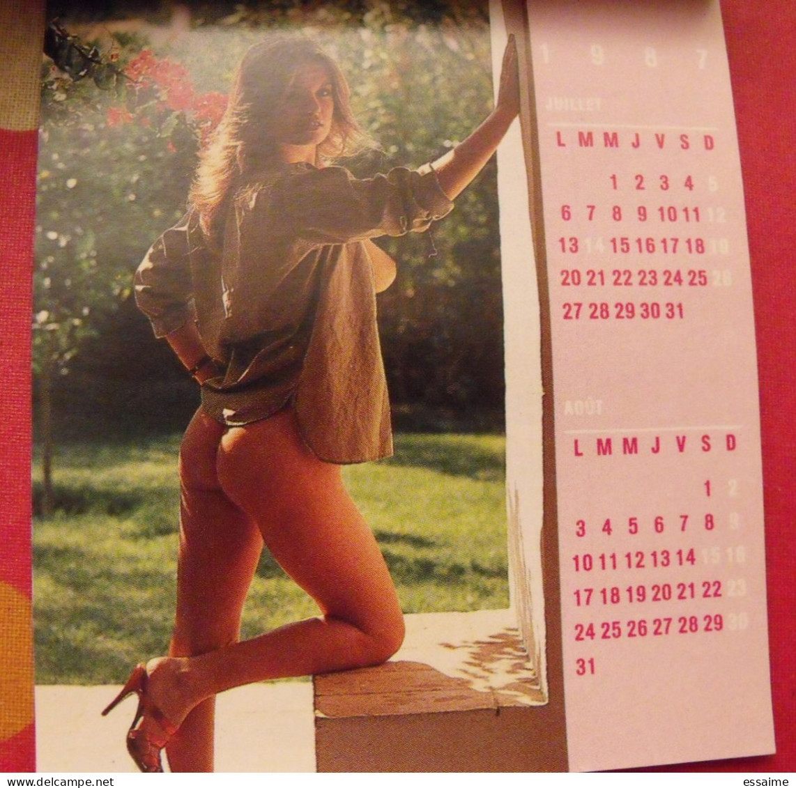 Petit Calendrier 1987. Photos De Pin-up - Formato Piccolo : 1981-90