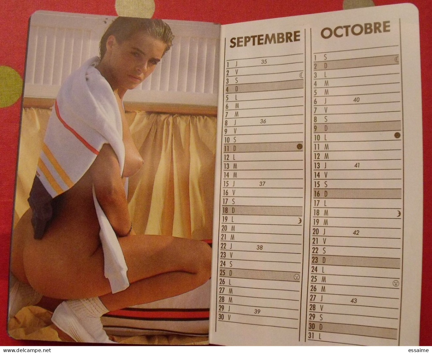 Petit Calendrier 1988. Photos De Pin-up - Kleinformat : 1981-90