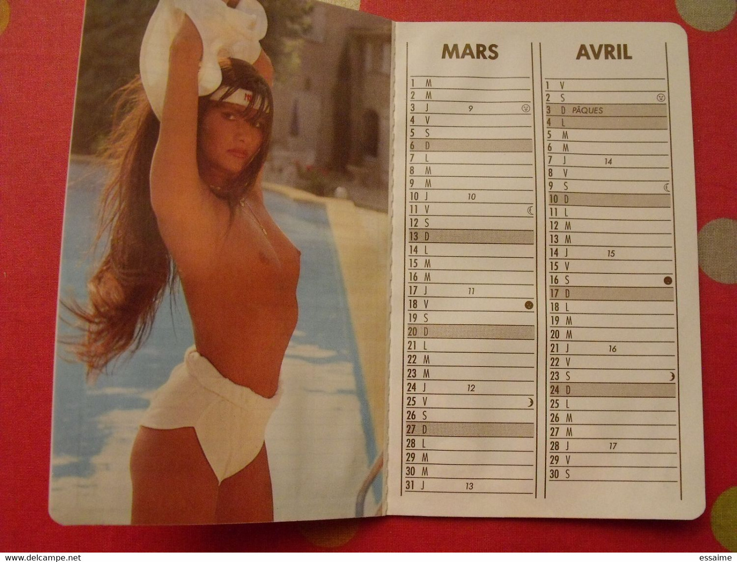 Petit Calendrier 1988. Photos De Pin-up - Petit Format : 1981-90