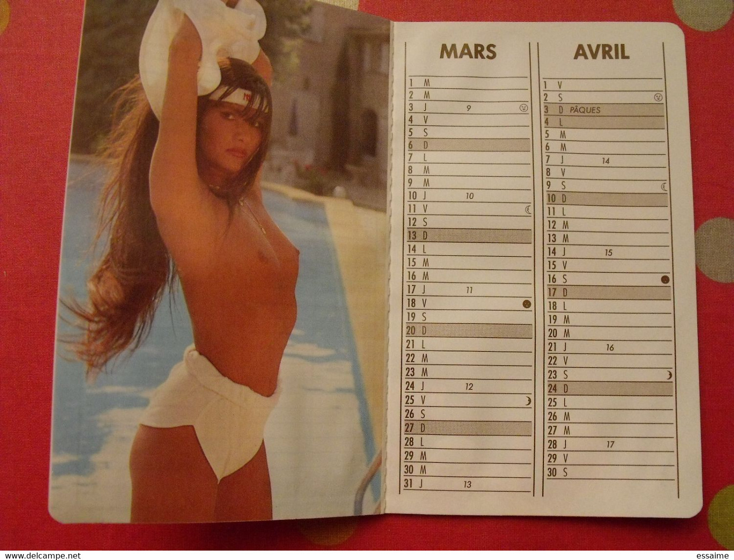 Petit Calendrier 1988. Photos De Pin-up - Tamaño Pequeño : 1981-90