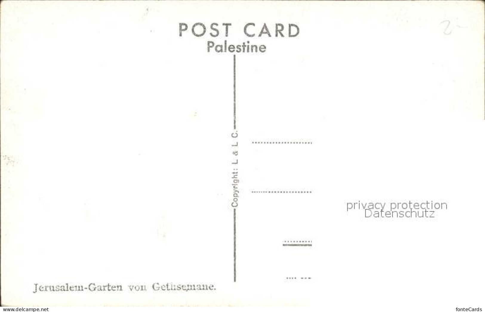11983928 Jerusalem Yerushalayim Garden Of Gethsemane  - Israel