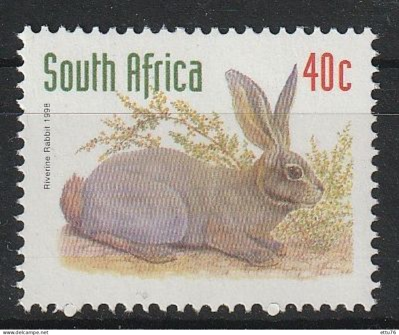 South Africa 1998  Riverine Rabbit  MNH - Rabbits