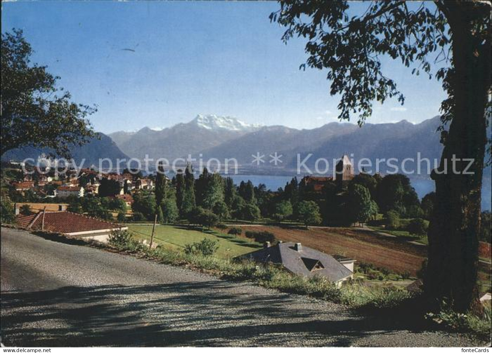 11979673 Blonay Chateau Et Dents Du Midi Blonay - Other & Unclassified