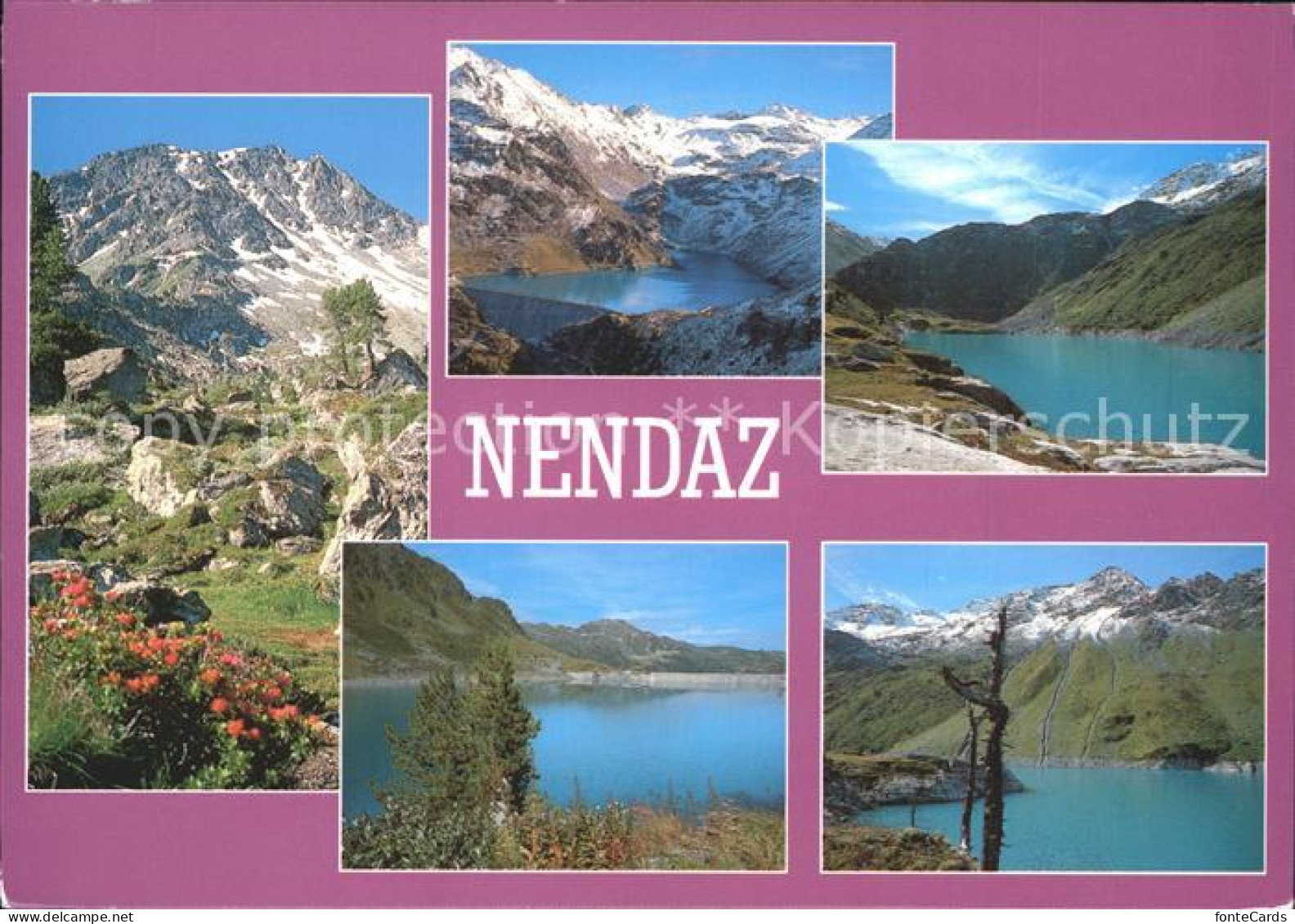 11979562 Nendaz See Blumen Alpe Haute-Nendaz - Sonstige & Ohne Zuordnung