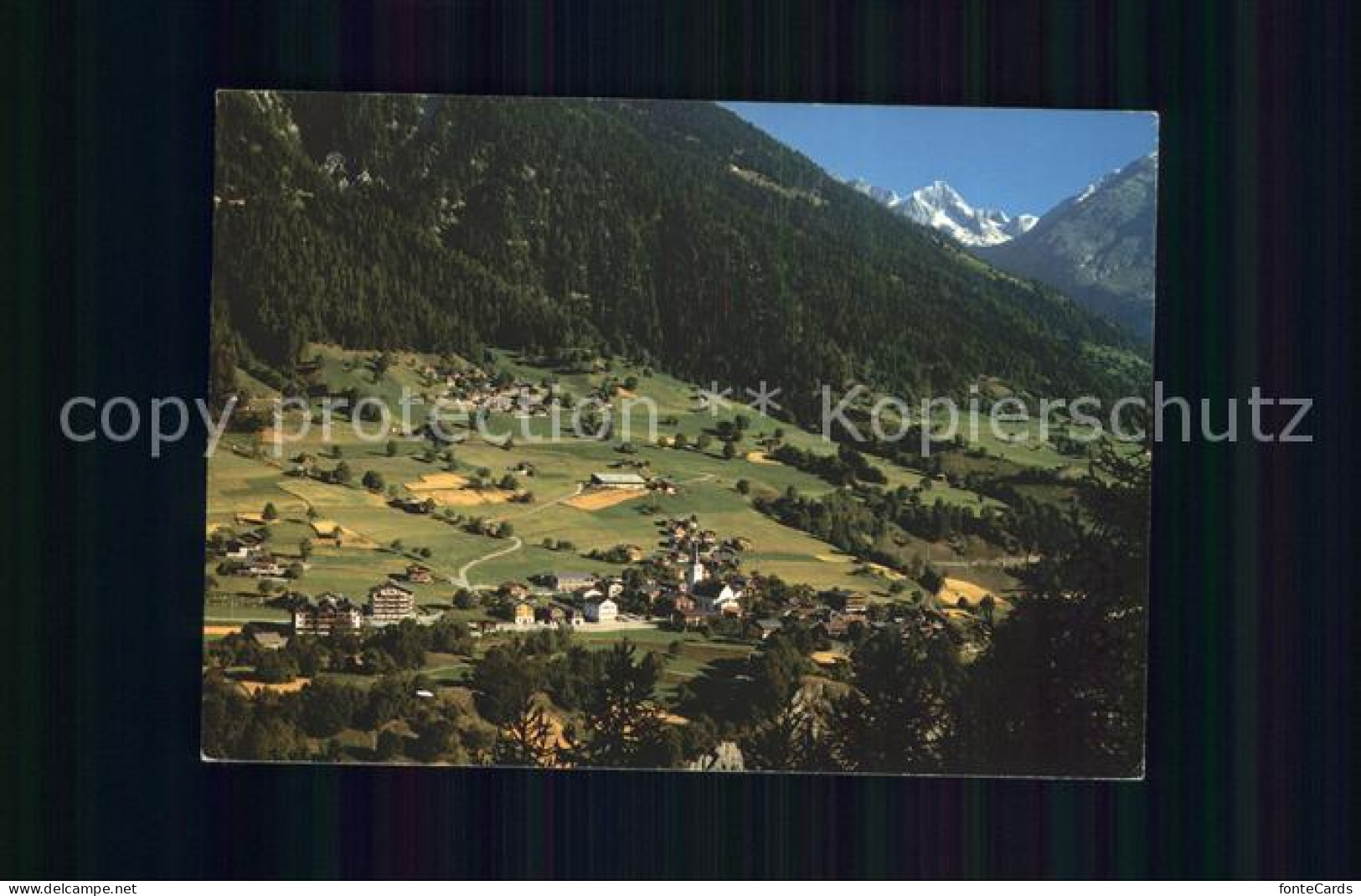 11979543 Lax Wasenhorn Lax - Sonstige & Ohne Zuordnung