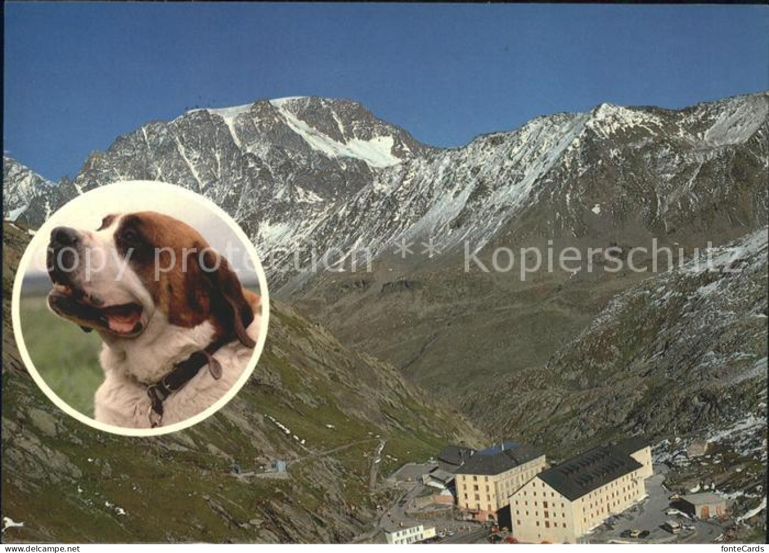 11979531 Grand St Bernard Fliegeraufnahme Hospice Mt Velan Hund Grand St Bernard - Sonstige & Ohne Zuordnung