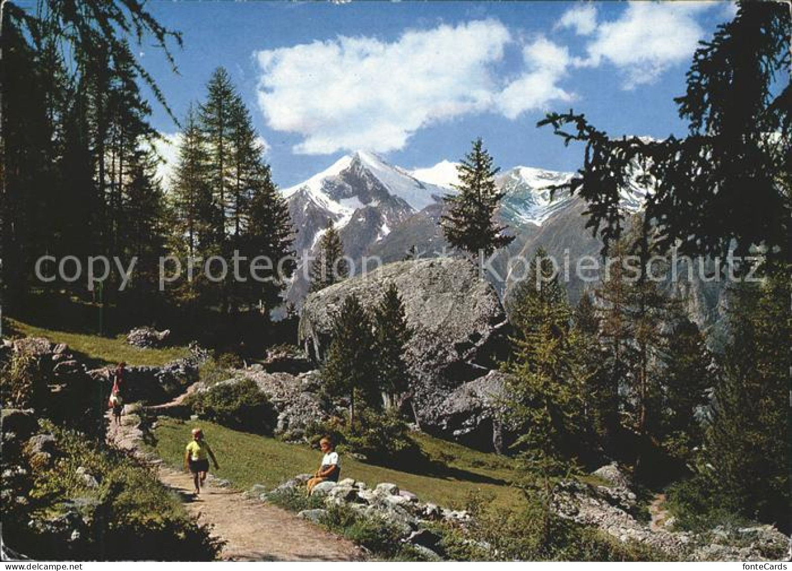 11979503 Graechen VS Spazierweg Graechen Ried Weisshorn Brunegghorn Bishorn Grae - Sonstige & Ohne Zuordnung