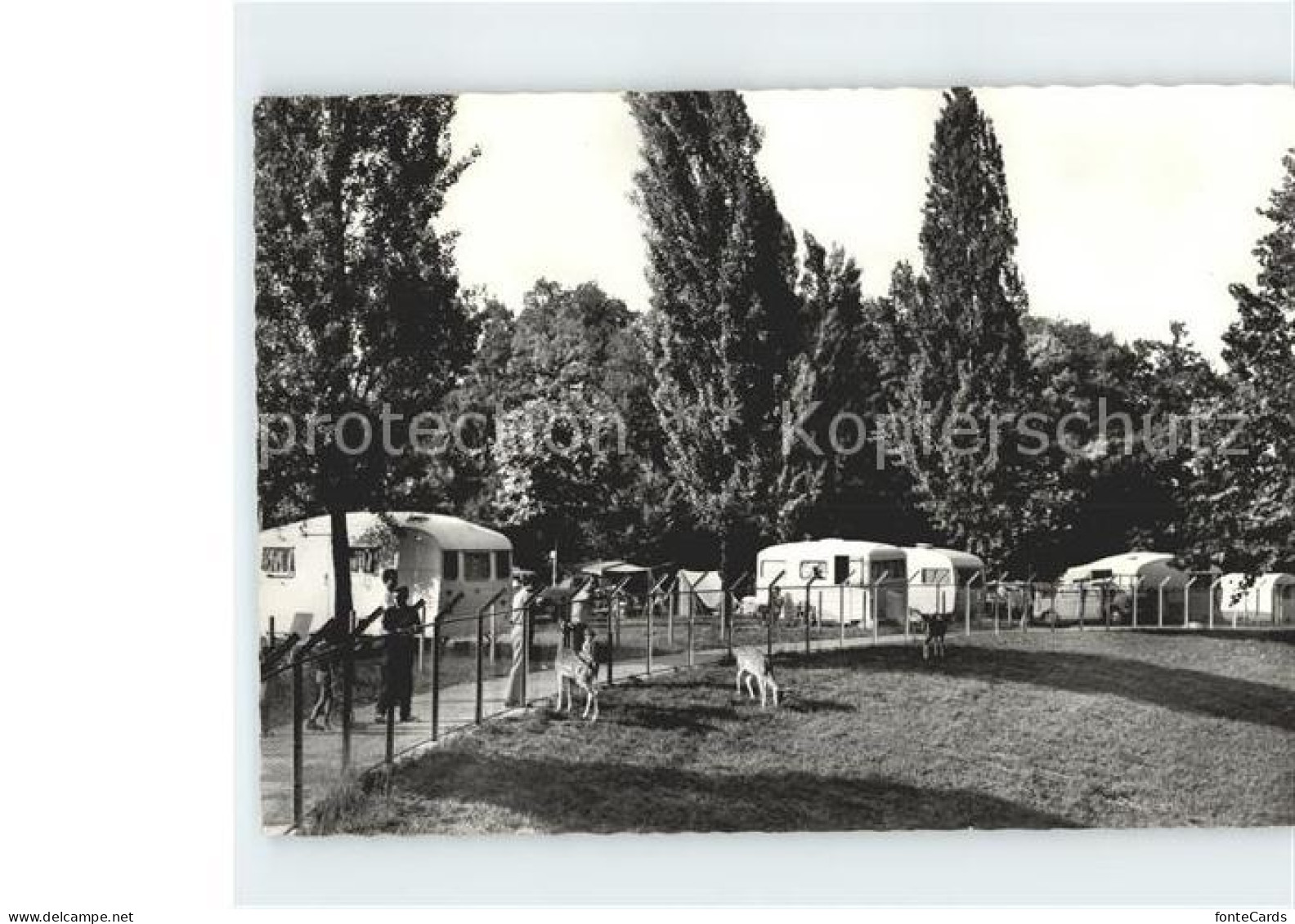 11977368 Geneve GE Camping Du Bois De La Batie Geneve GE - Autres & Non Classés