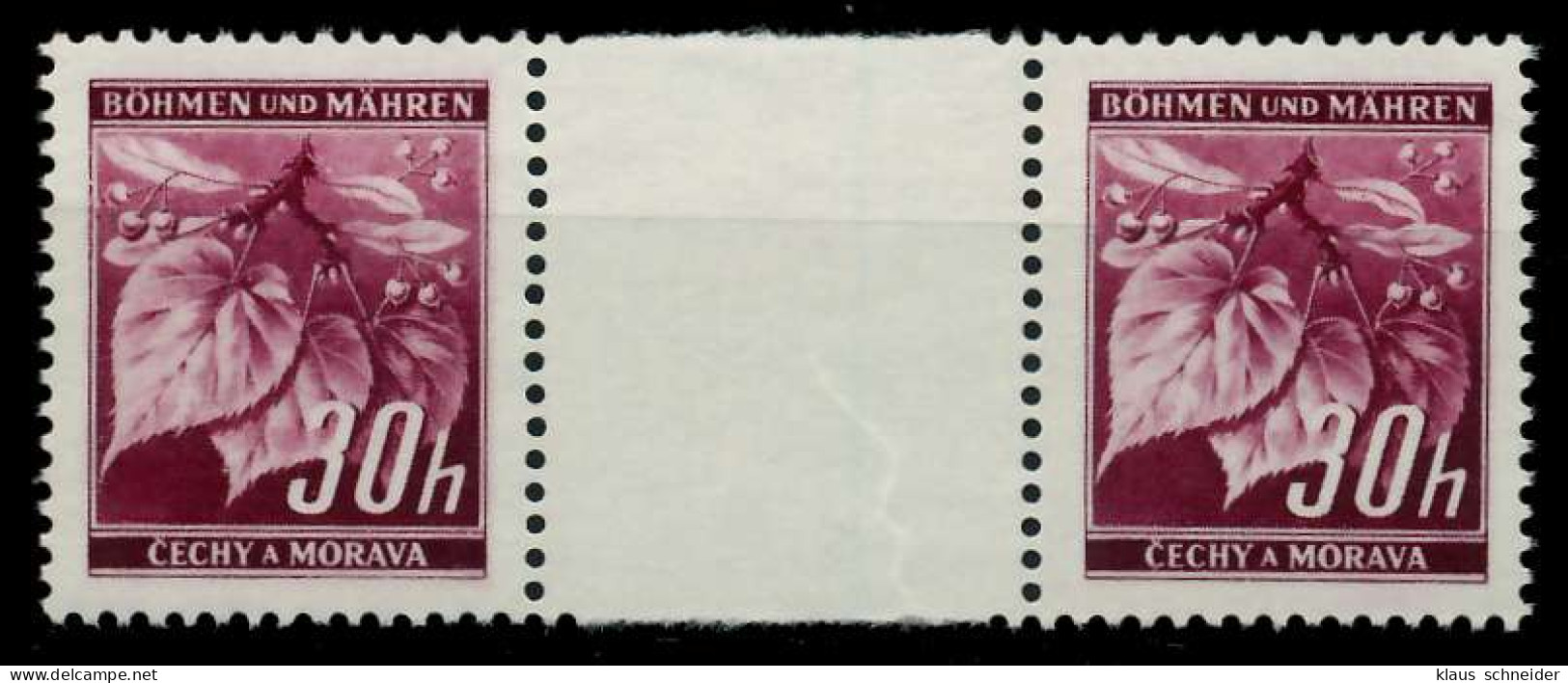 BÖHMEN MÄHREN Nr 24ZW Postfrisch ZW-STEG PAAR S42A016 - Unused Stamps