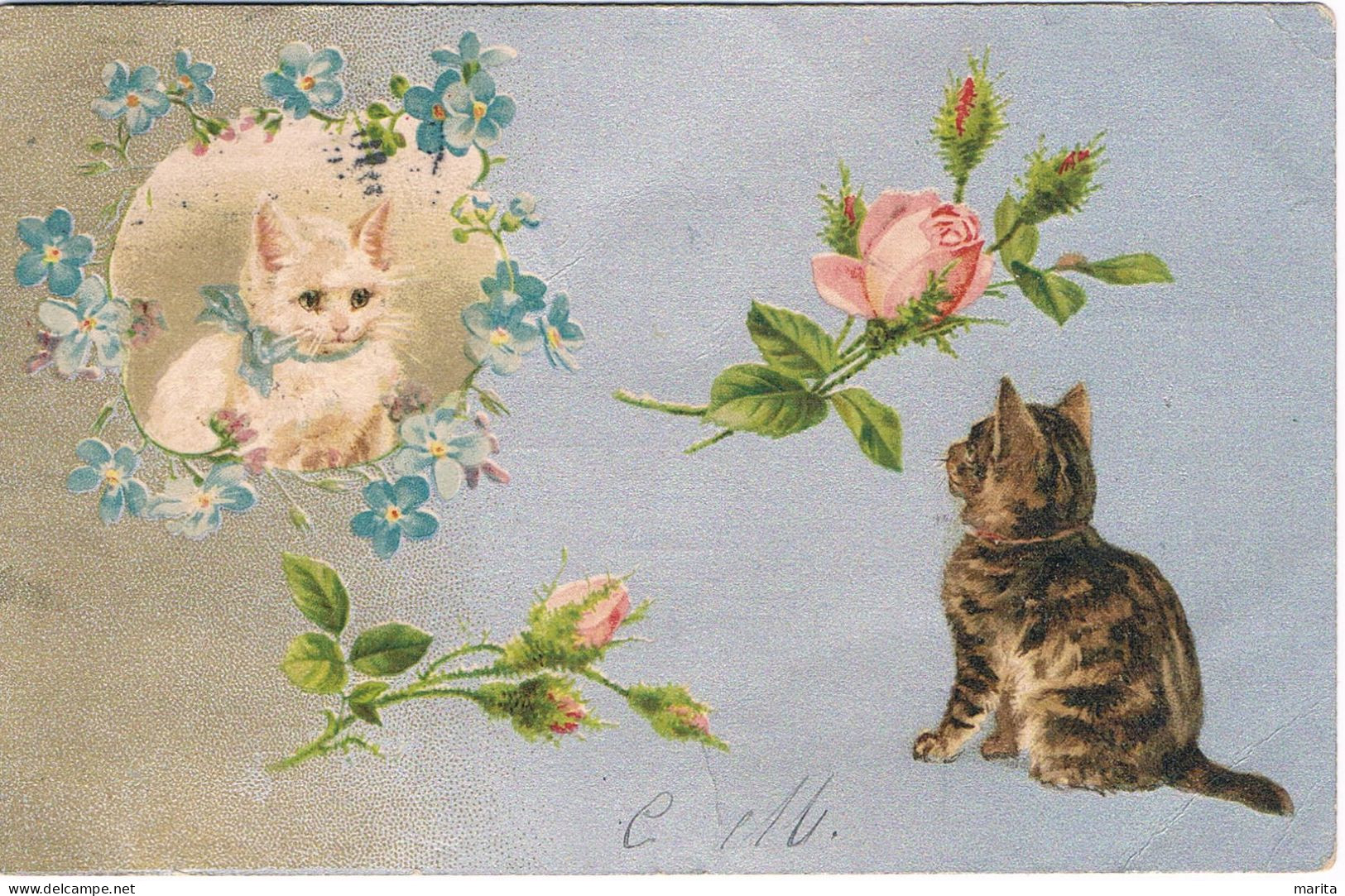 Chats - Cats -katzen -  Poezen En Bloemen - Cats
