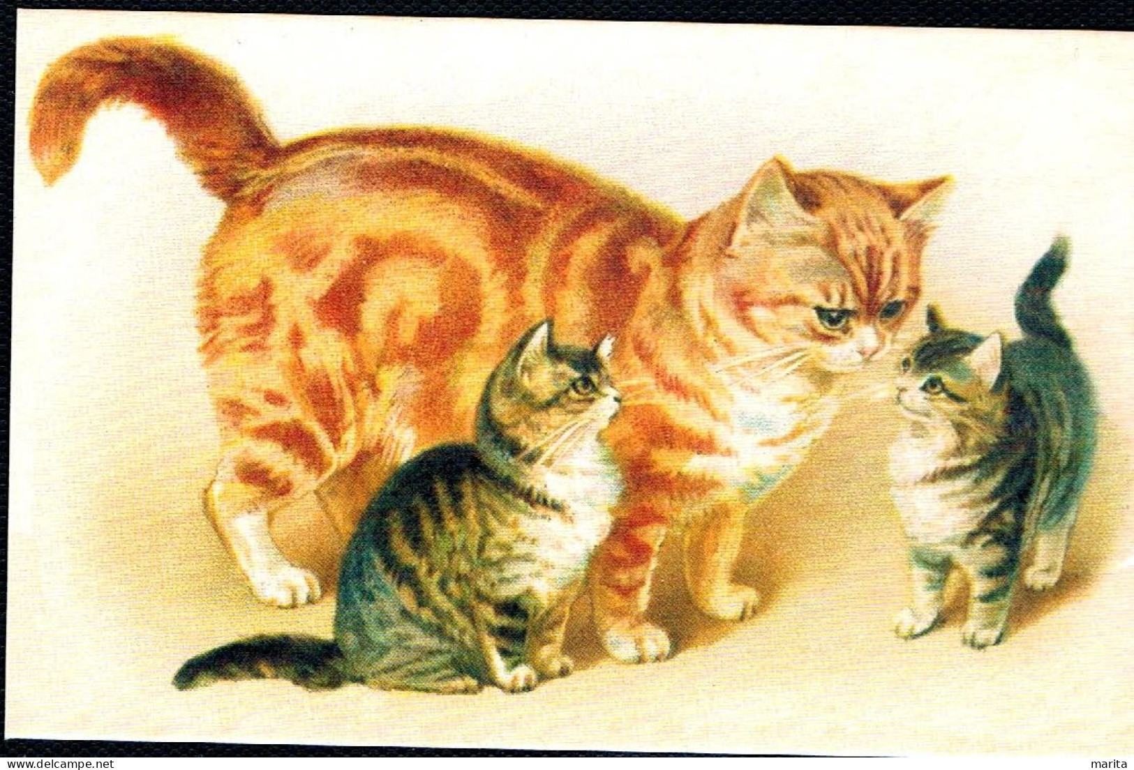 3 Chats - Cats -katzen - Poezen Mama En Kleintjes  -repro - Chats