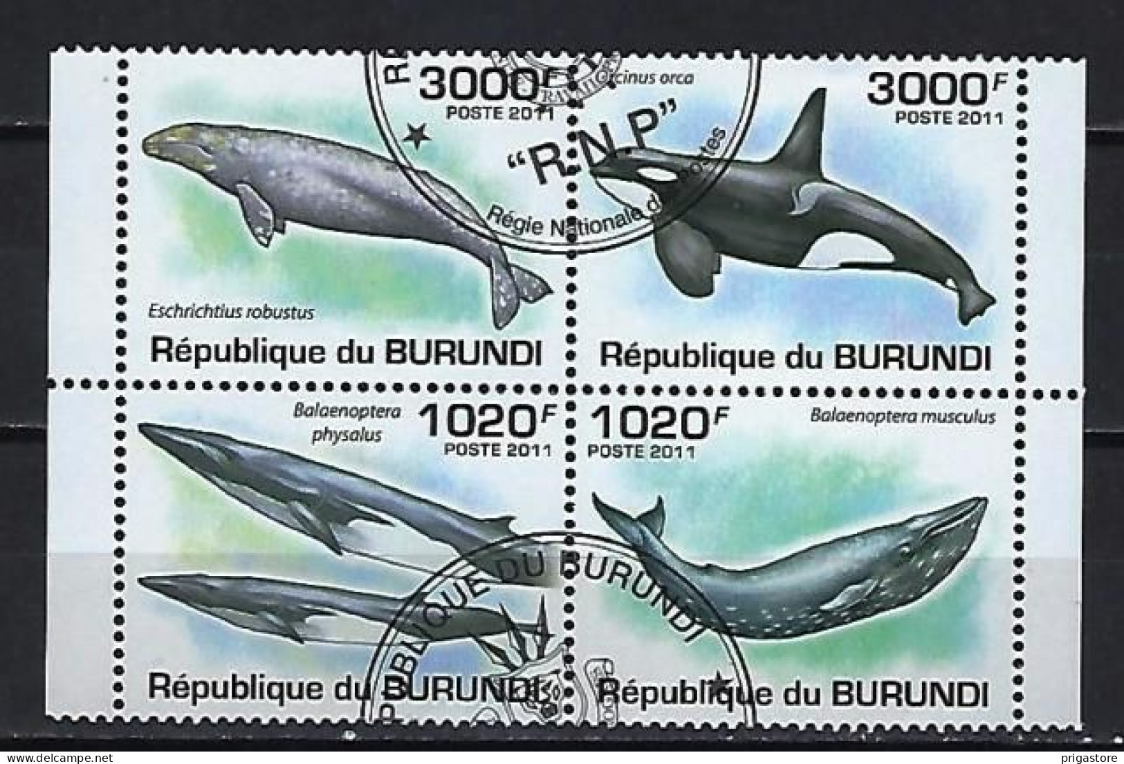 Baleines Burundi 2011 (422) Yvert 1185 à 1188 Oblitérés Used - Whales
