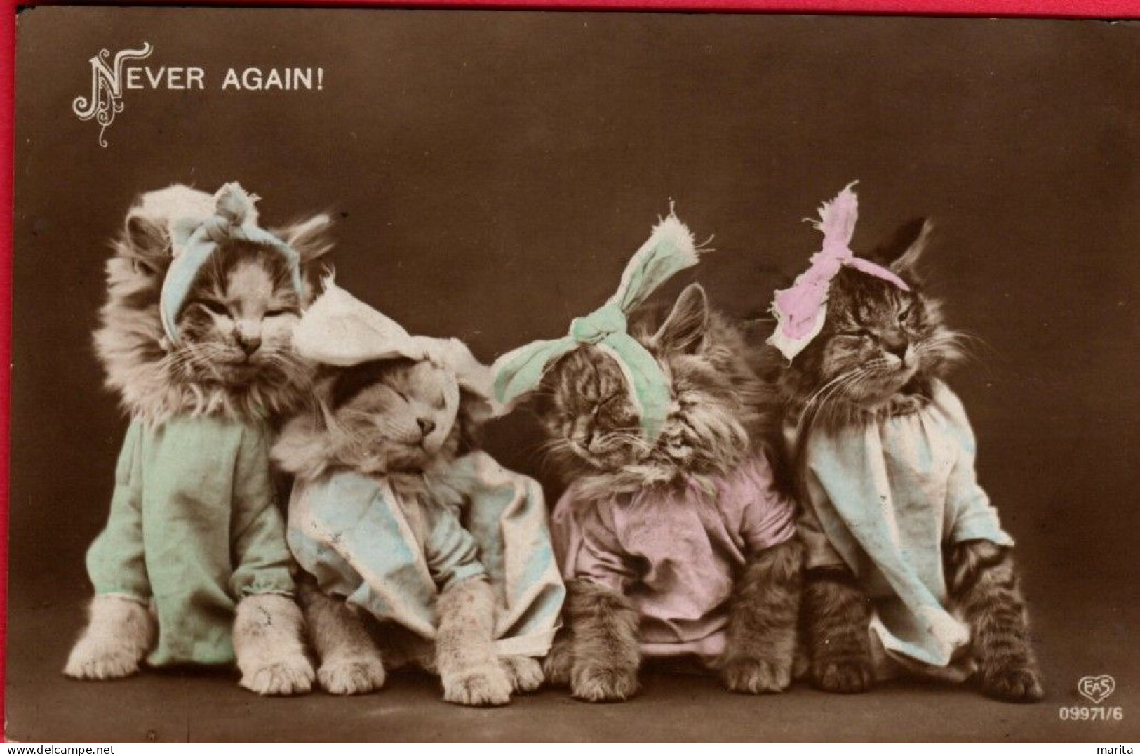 Chats Habillés  -dressed Cats - Katzen -geklede Poezen , Ziek - Katten