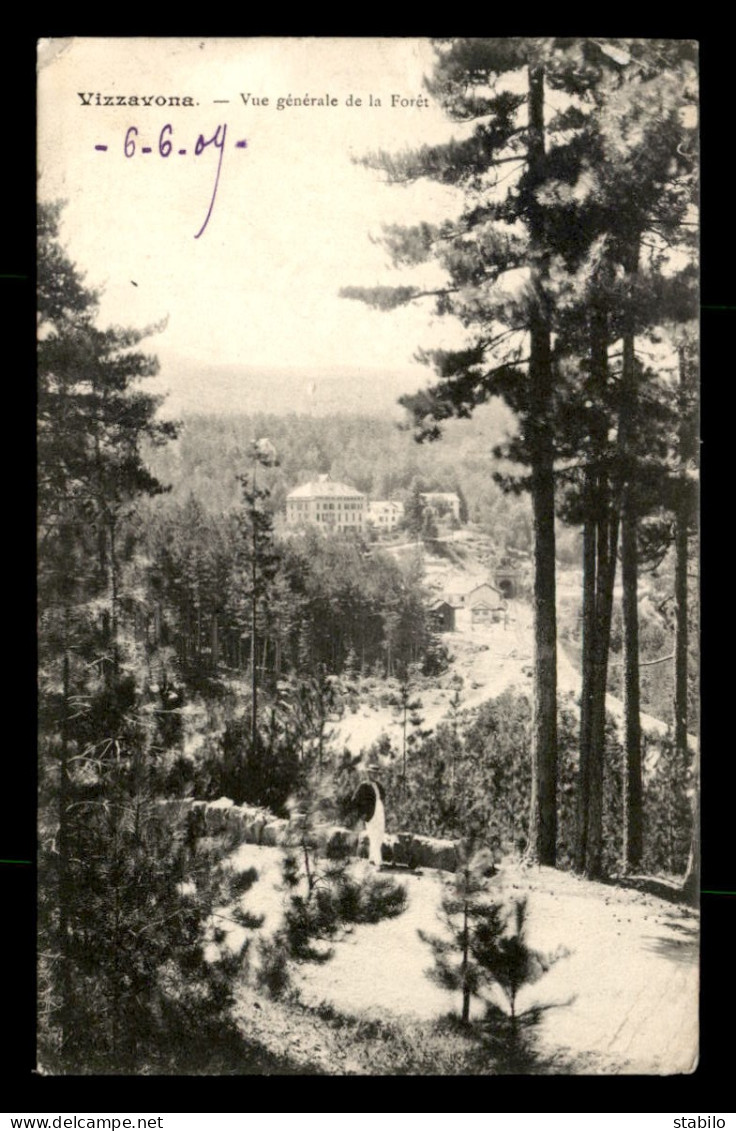 20 - VIZZAVONA - VUE GENERALE DE LA FORET - Autres & Non Classés