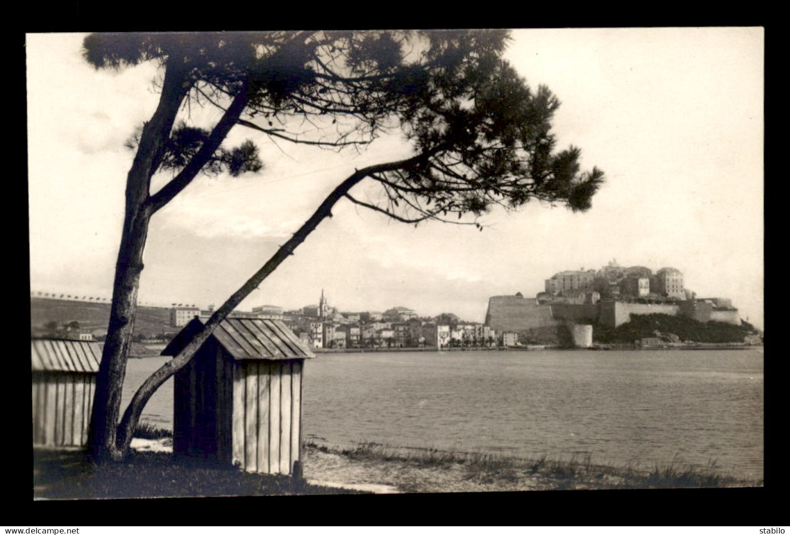 20 - CALVI - PANORAMA - Calvi