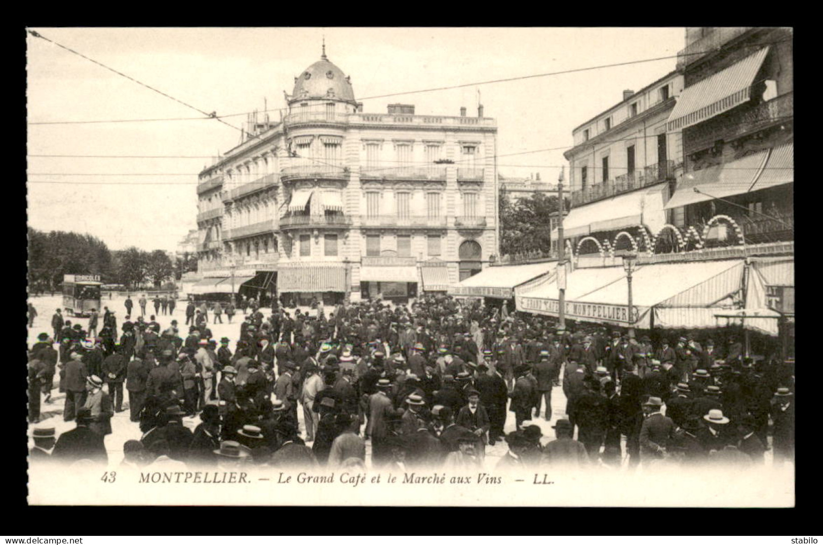 34 - MONTPELLIER - LE GRAND CAFE ET LE MARCHE AUX VINS - Montpellier