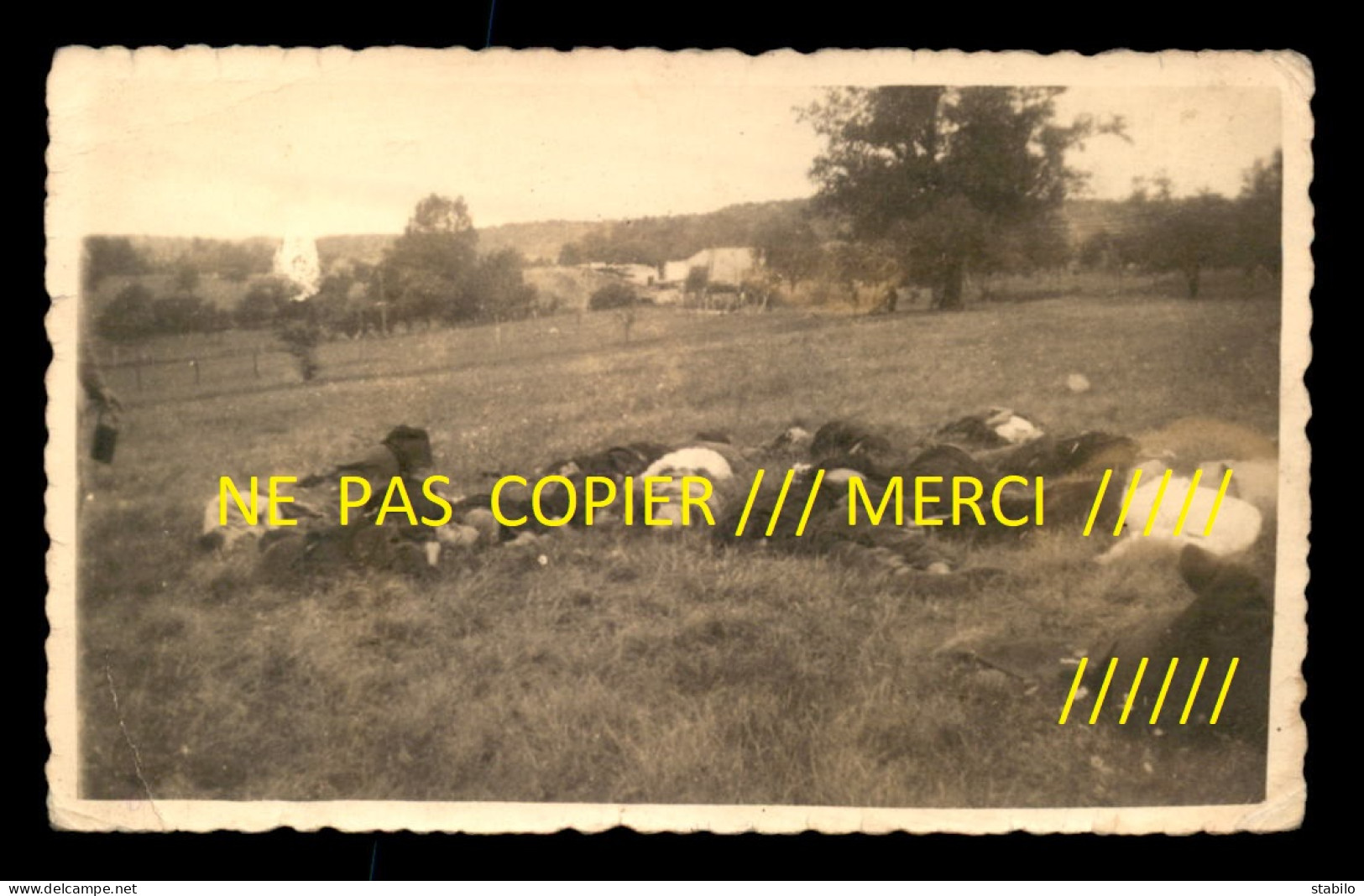 55 - COUVONGES ? - LES CORPS DES FUSILLES DU 29 AOUT 1944 - CARTE PHOTO ORIGINALE - Andere & Zonder Classificatie