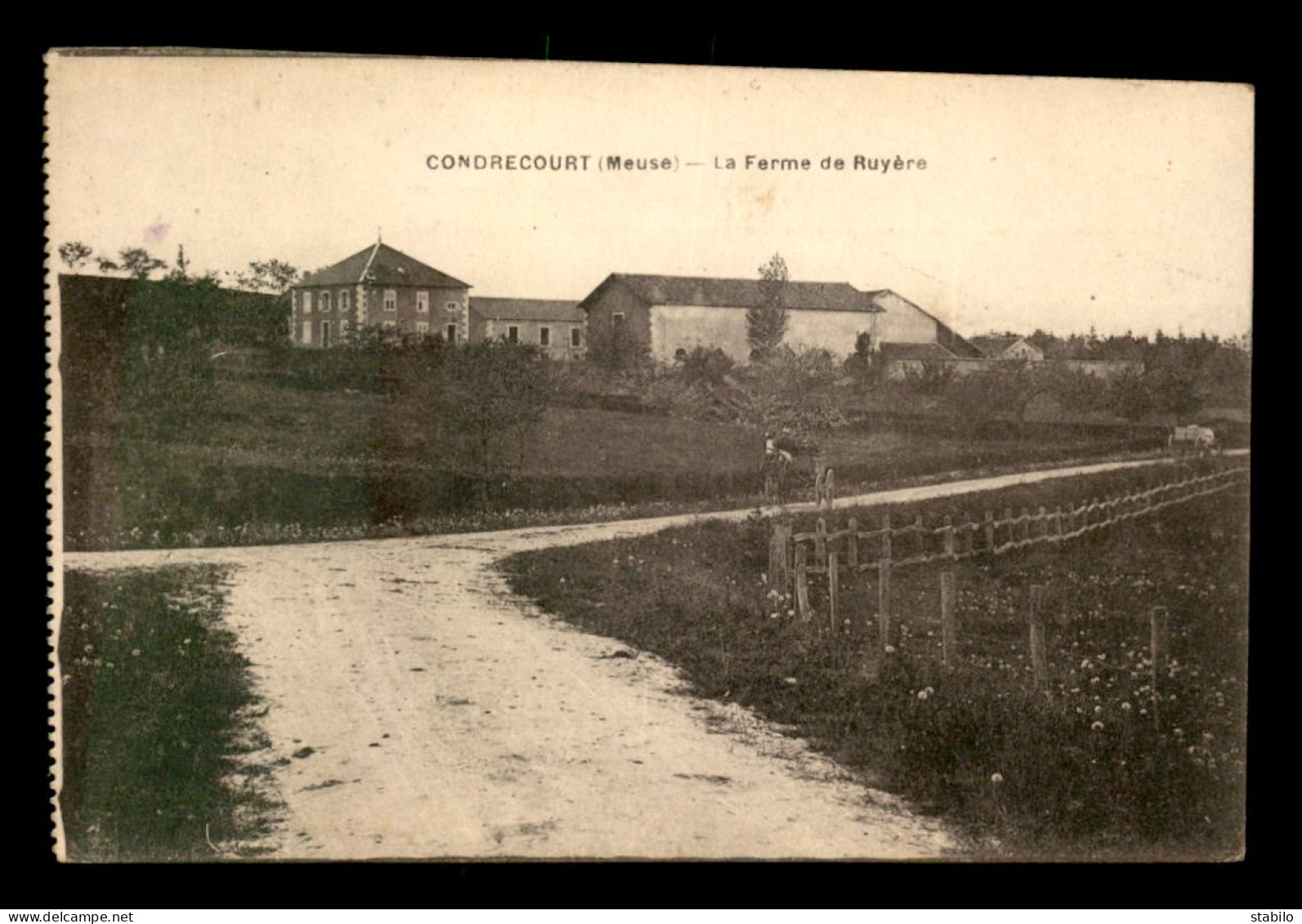 55 - GONDRECOURT - LA FERME DE RUYERE - SANS EDITEUR - Gondrecourt Le Chateau