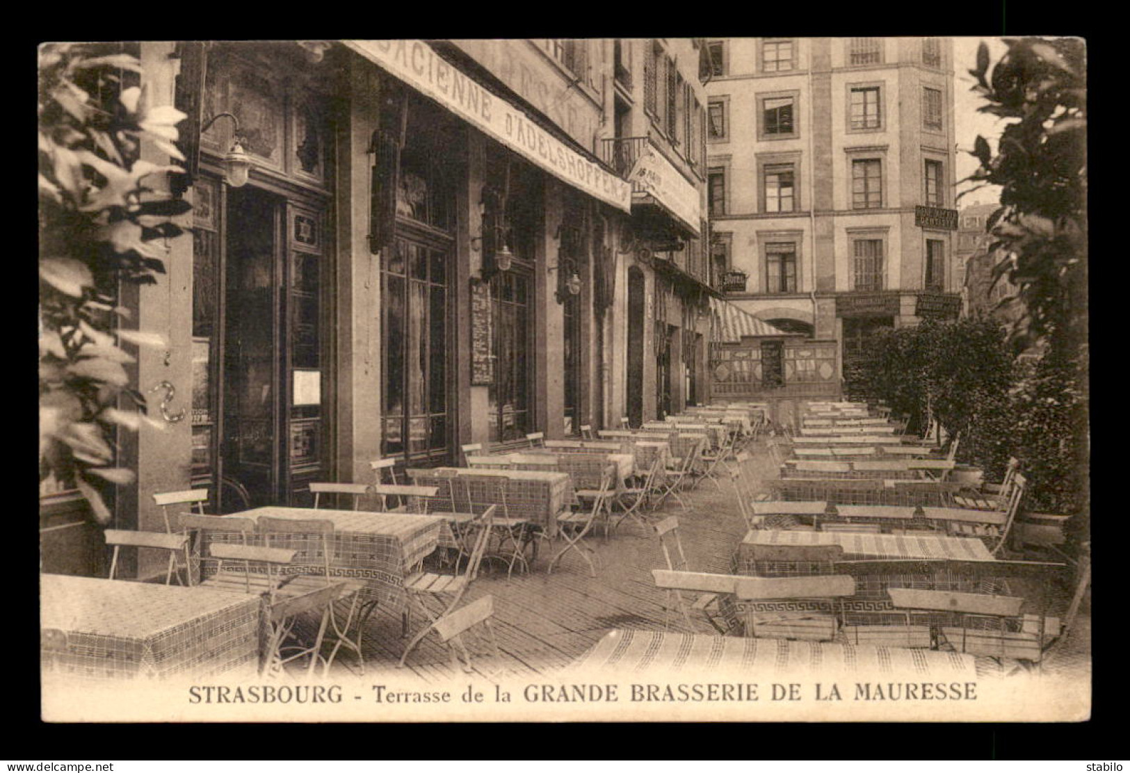 67 - STRASBOURG - TERRASSE DE LA GRANDE BRASSERIE DE LA MAURESSE J. SCHOTT - Strasbourg