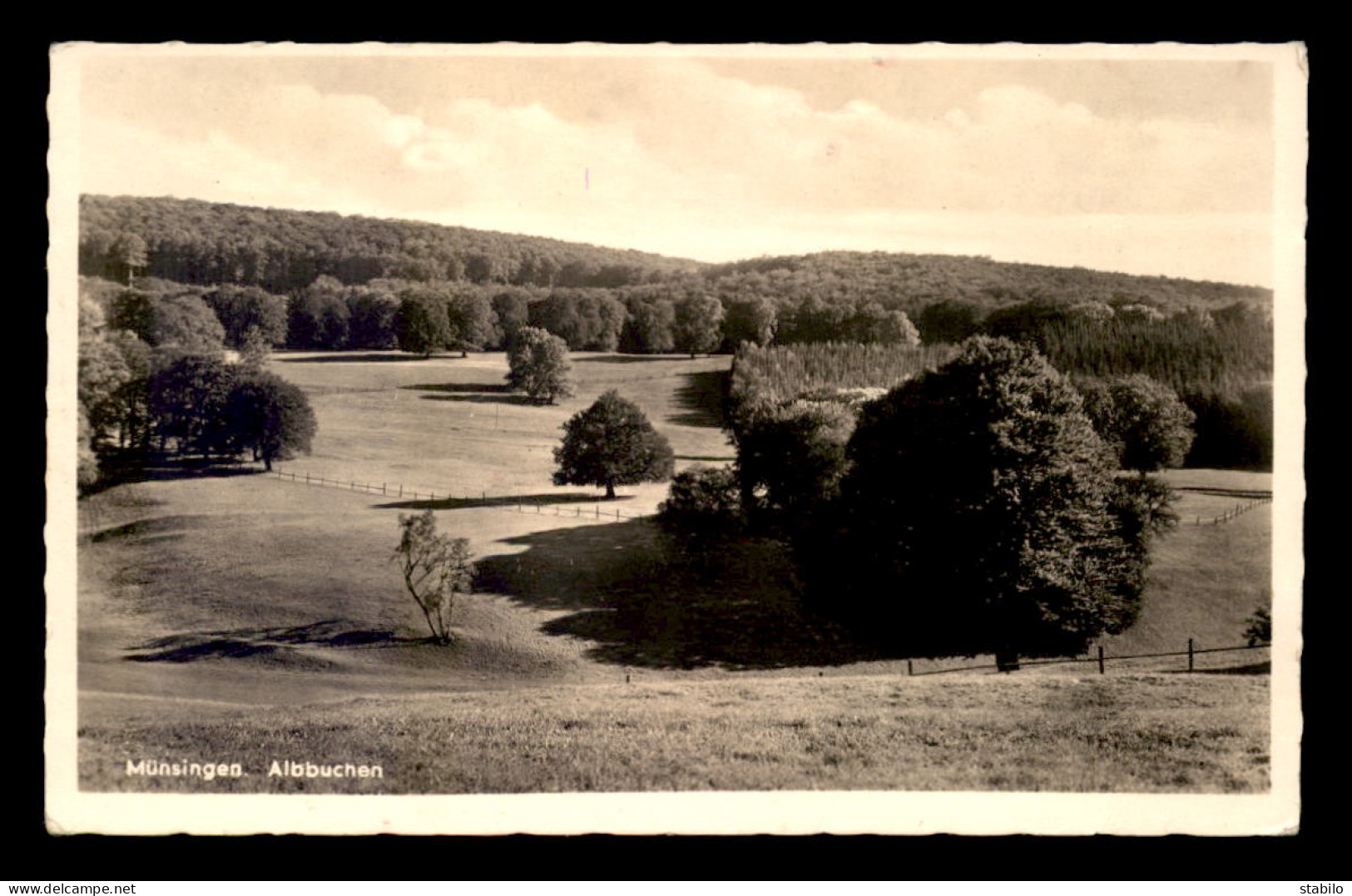 ALLEMAGNE - MUNSINGEN - ALBBUCHEN - Münsingen