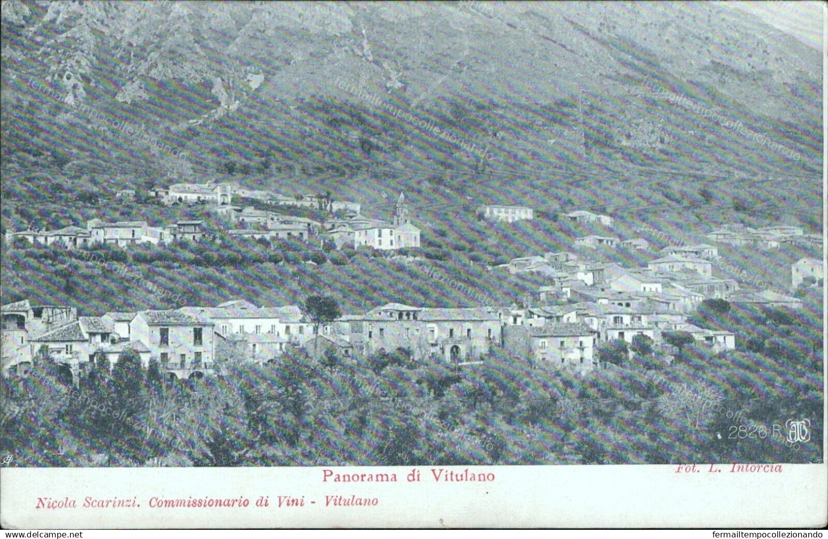 V748 Cartolina Panorama Di Vitulano 1912 Provincia Di Benevento - Benevento