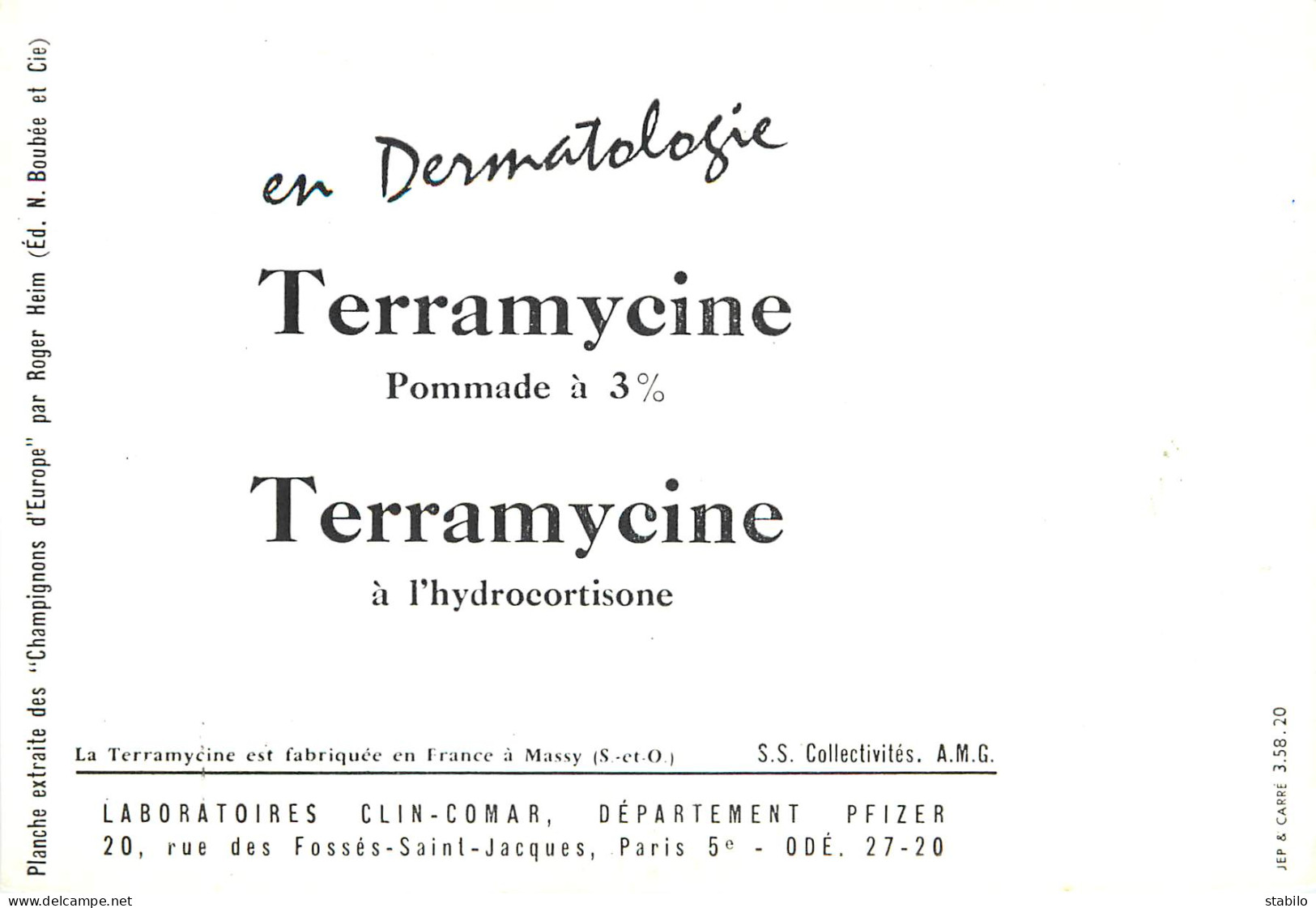 CHAMPIGNONS - SERIE DE 28  PLANCHES DESSINEES  NUMEROTEES - PUBLICITES LABORATOIRE PHARMACEUTIQUE AU VERSO - Autres & Non Classés