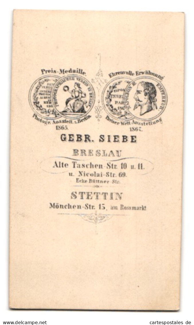 Fotografie Gebr. Siebe, Stettin, Mönchen-Str. 15, Portrait Herr Im Anzug Mit Fliege Und Vollbart  - Anonymous Persons