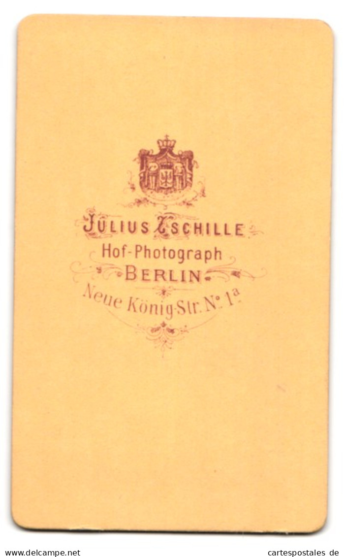 Fotografie Julius Zschille, Berlin, Neue König-Str. 1 A, Halbwüchsiger Knabe In Modischer Kleidung  - Anonymous Persons