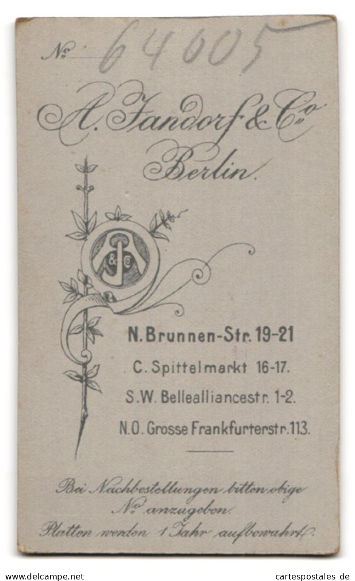 Fotografie A. Jandorf & Co., Berlin-SW, Belle-Alliance-Str. 1-2, Junger Mann Im Anzug Mit Krawatte  - Persone Anonimi