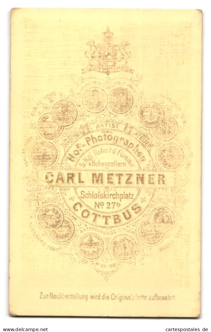 Fotografie Carl Metzner, Cottbus, Schlosskirchplatz 27 B, Kleines Kind Im Modischen Kleid  - Persone Anonimi
