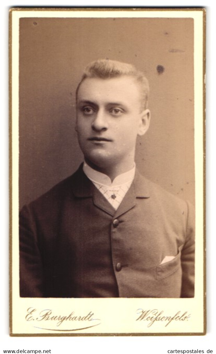 Fotografie E. Burghardt, Weissenfels, Junger Herr Im Anzug Mit Krawatte  - Persone Anonimi