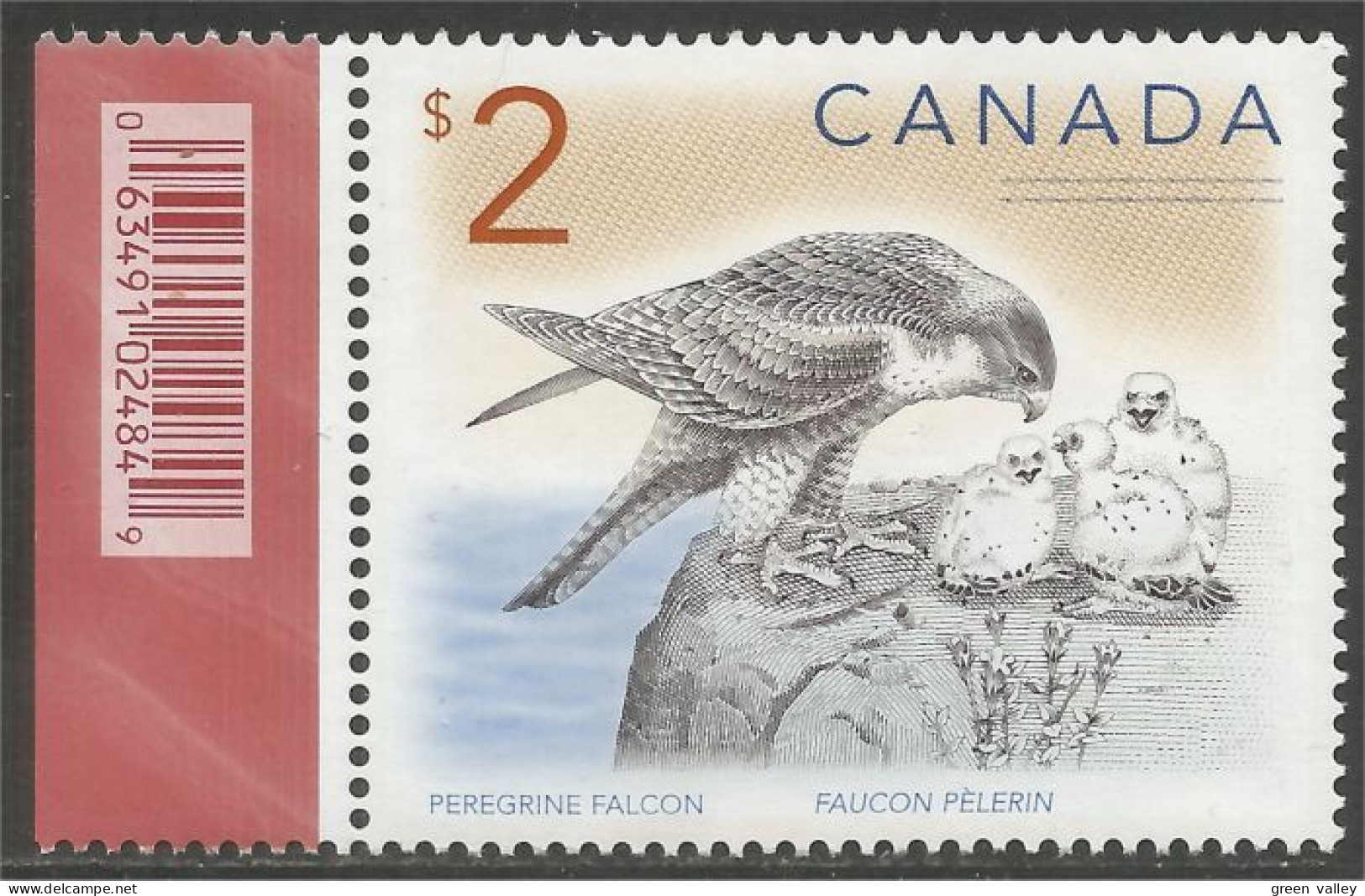 Canada Faucon Pélerin Peregrine Falcon MNH ** Neuf SC (C16-91bg) - Eagles & Birds Of Prey