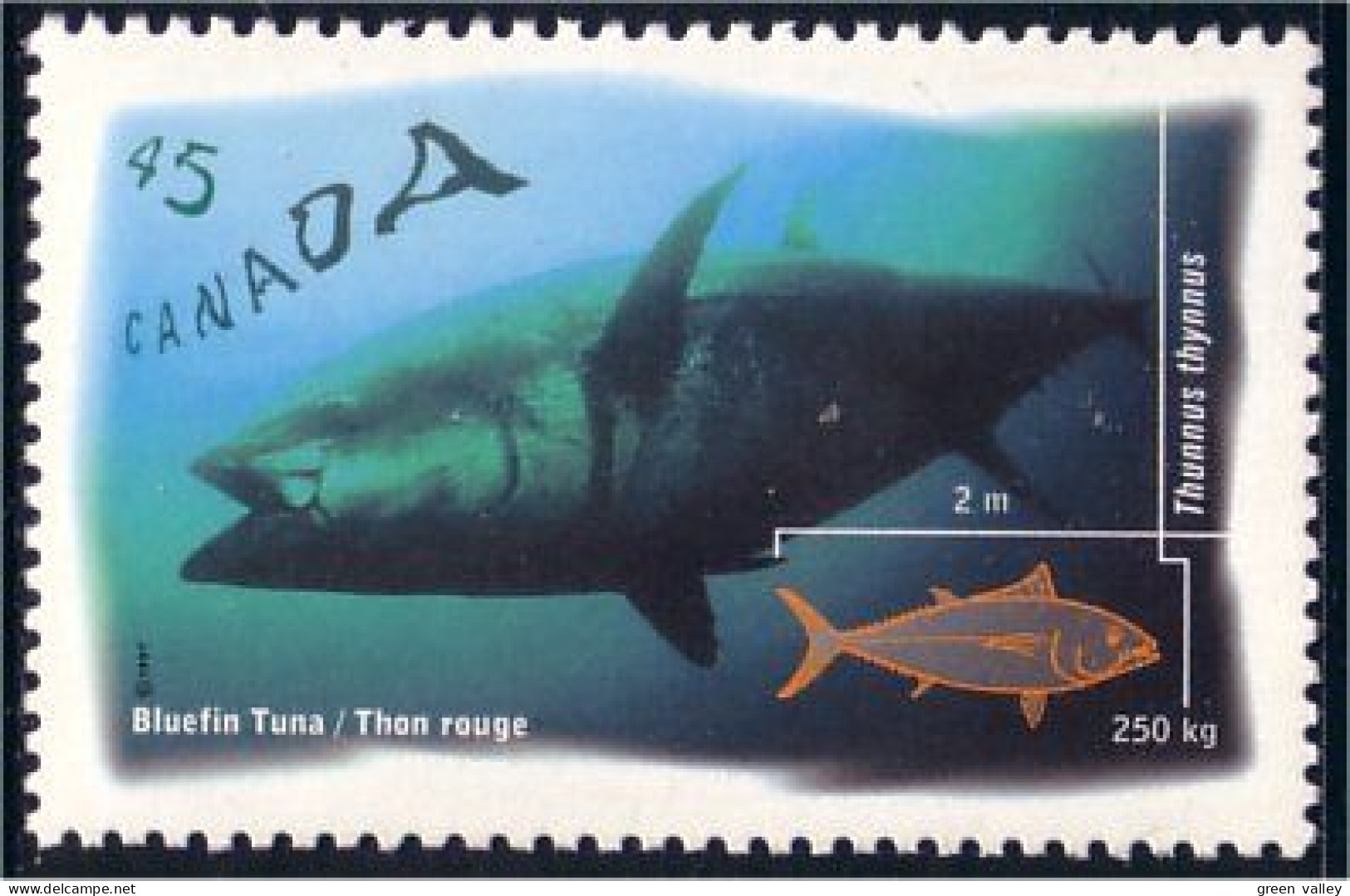 Canada Tuna Thon MNH ** Neuf SC (C16-44b) - Fishes