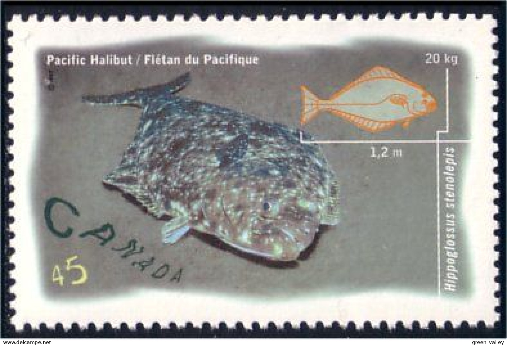 Canada Halibut Flétan MNH ** Neuf SC (C16-42b) - Poissons