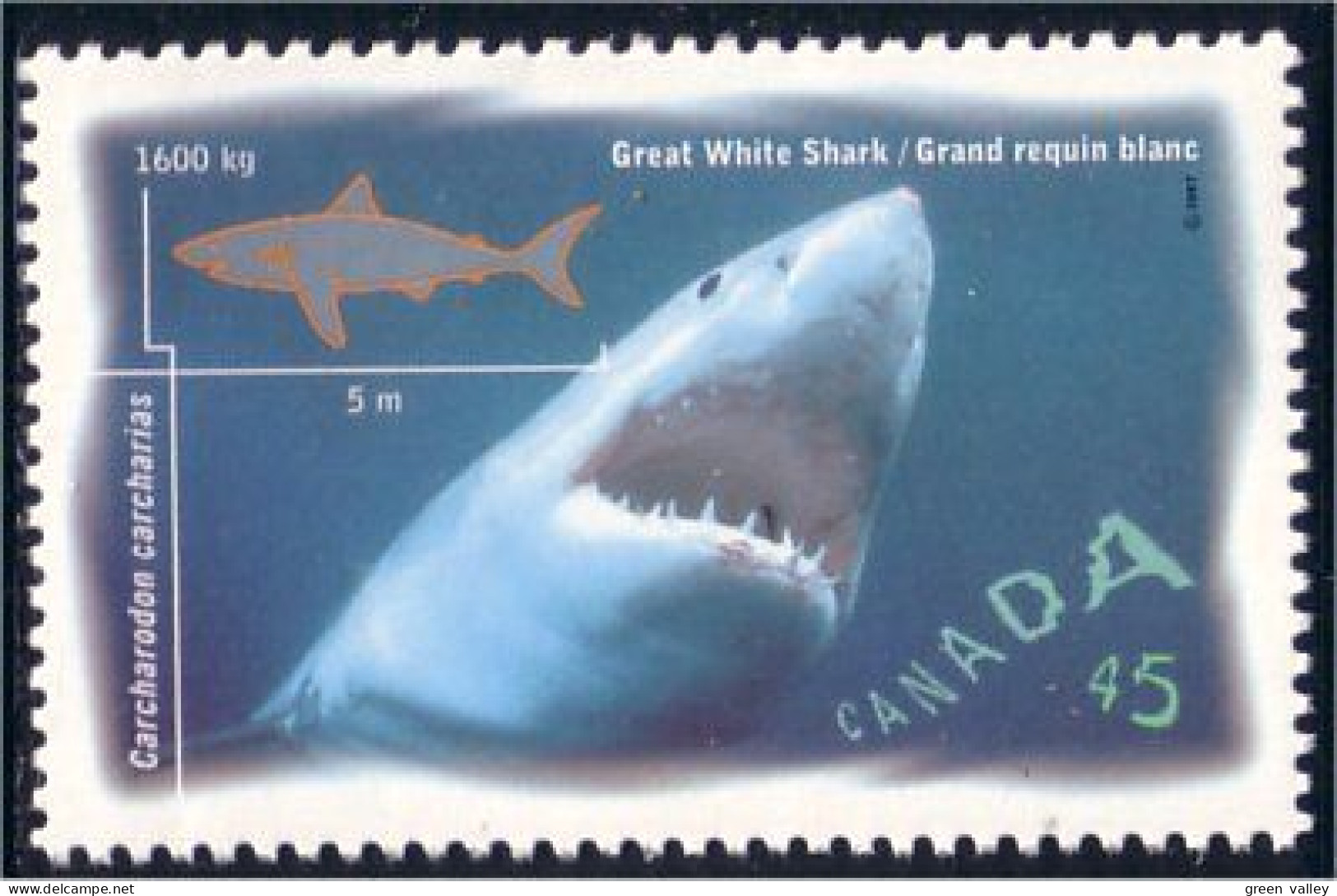 Canada White Shark Requin Blanc MNH ** Neuf SC (C16-41b) - Vissen