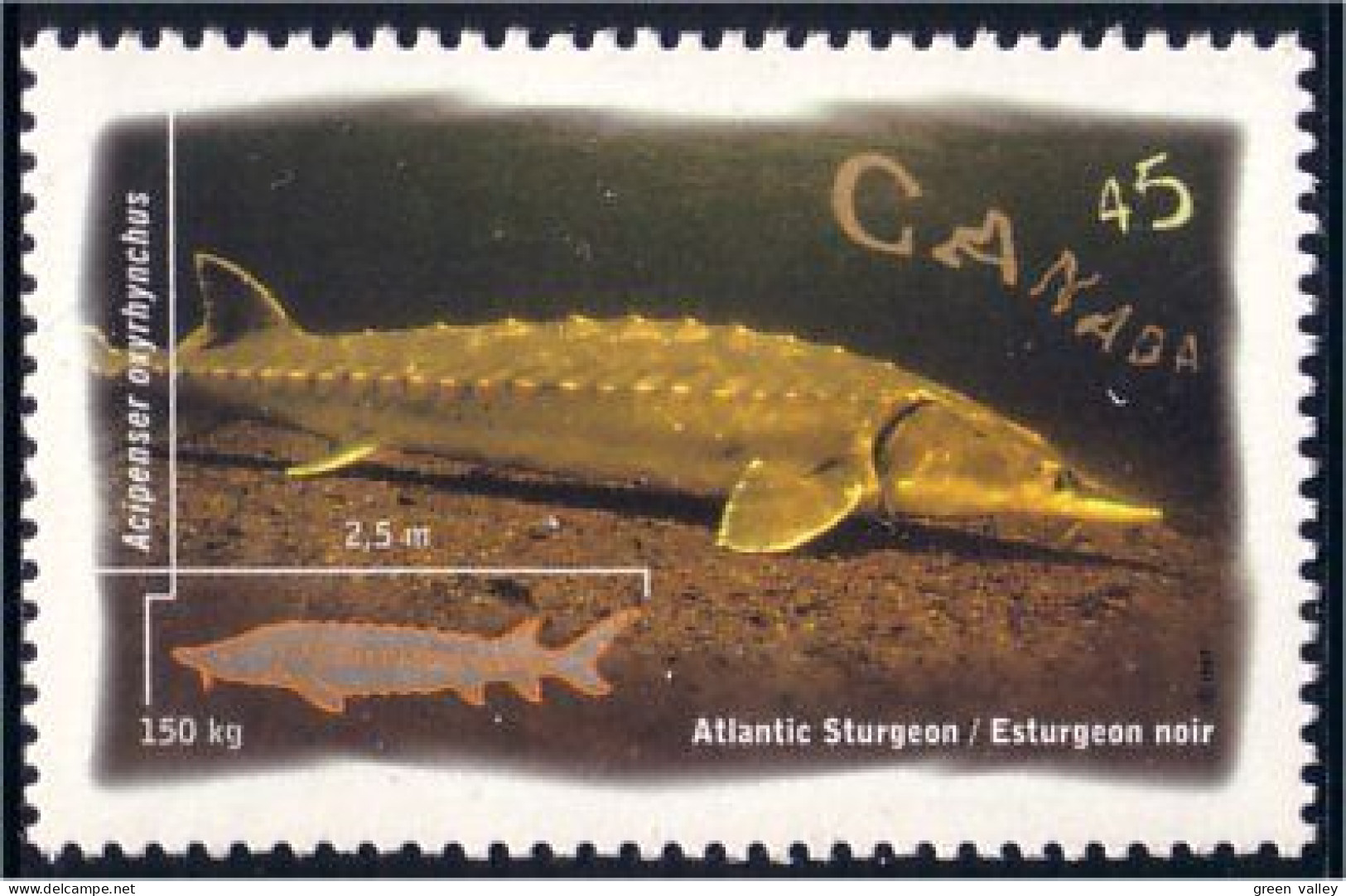 Canada Sturgeon Esturgeon MNH ** Neuf SC (C16-43c) - Alimentation