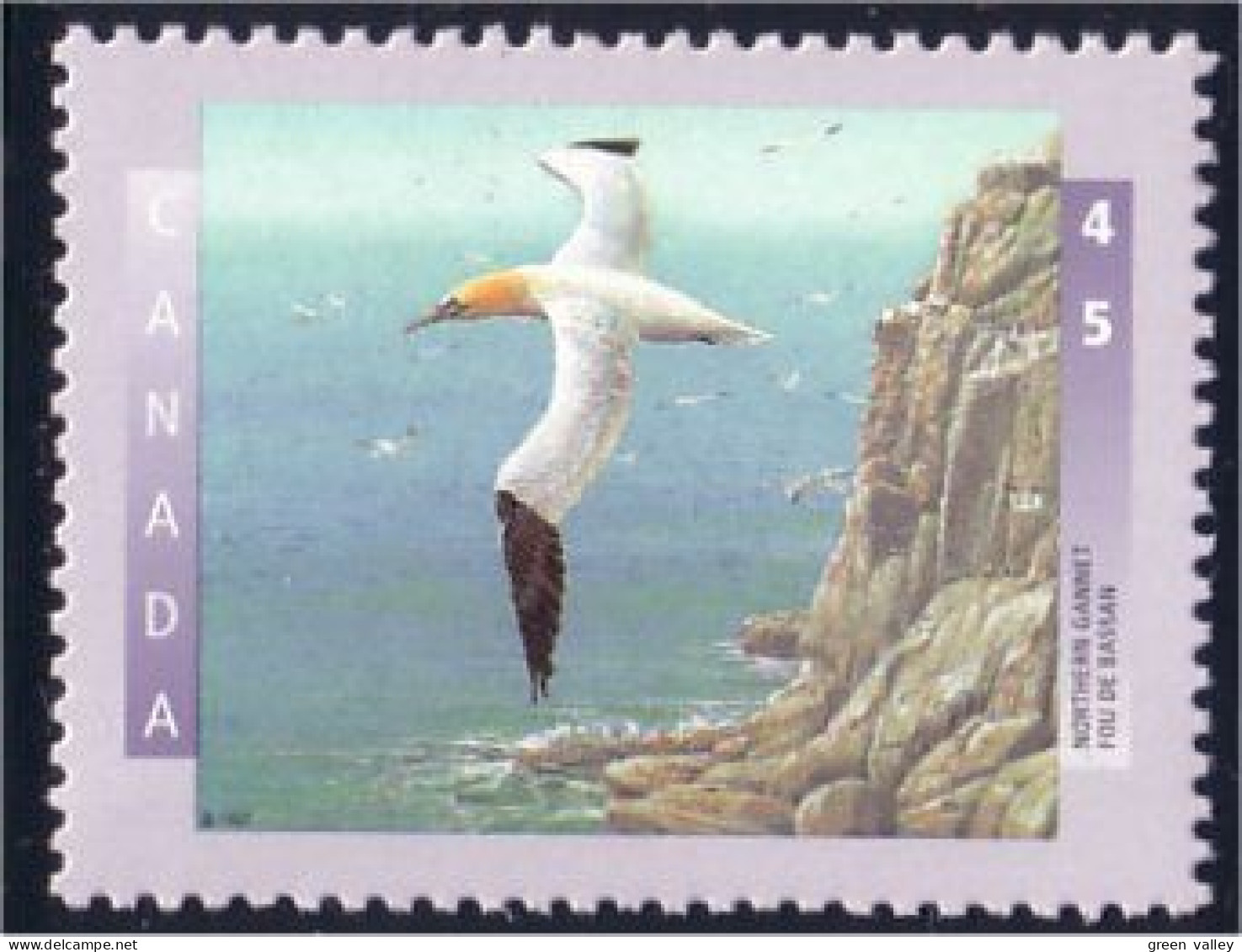 Canada Gannet Fou De Bassan MNH ** Neuf SC (C16-33b) - Otros & Sin Clasificación