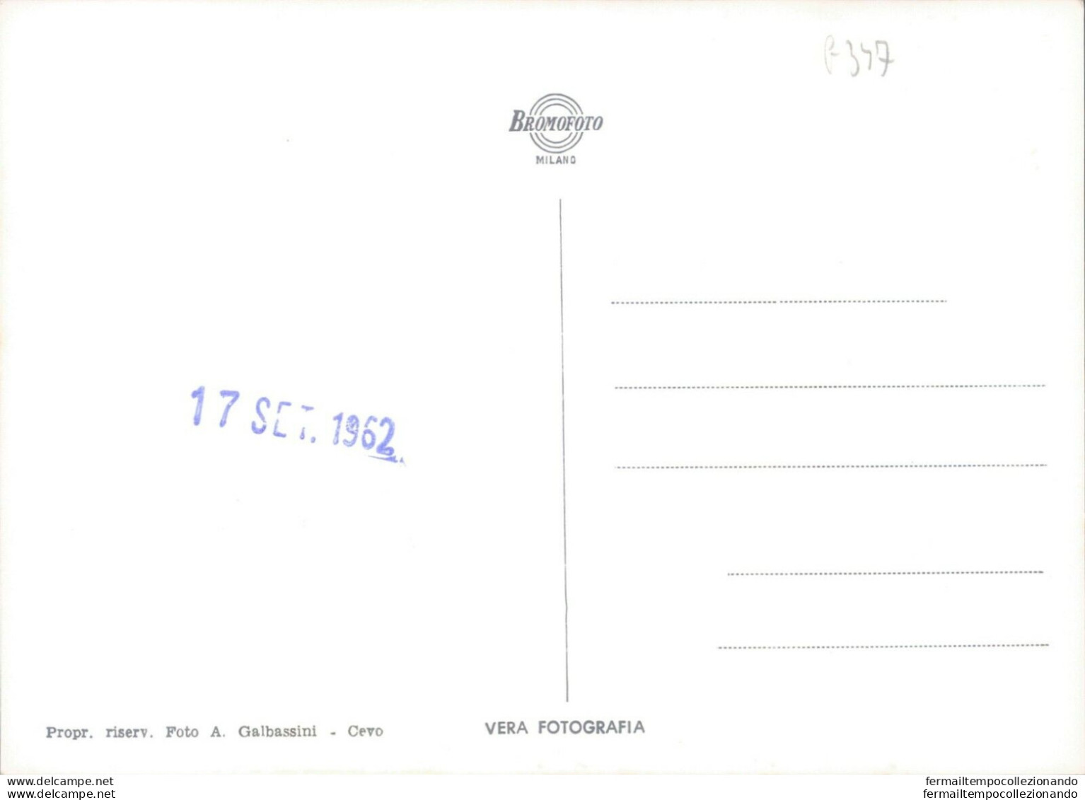 G347 Cartolina Provincia Di Brescia Cevo Panorama - Brescia