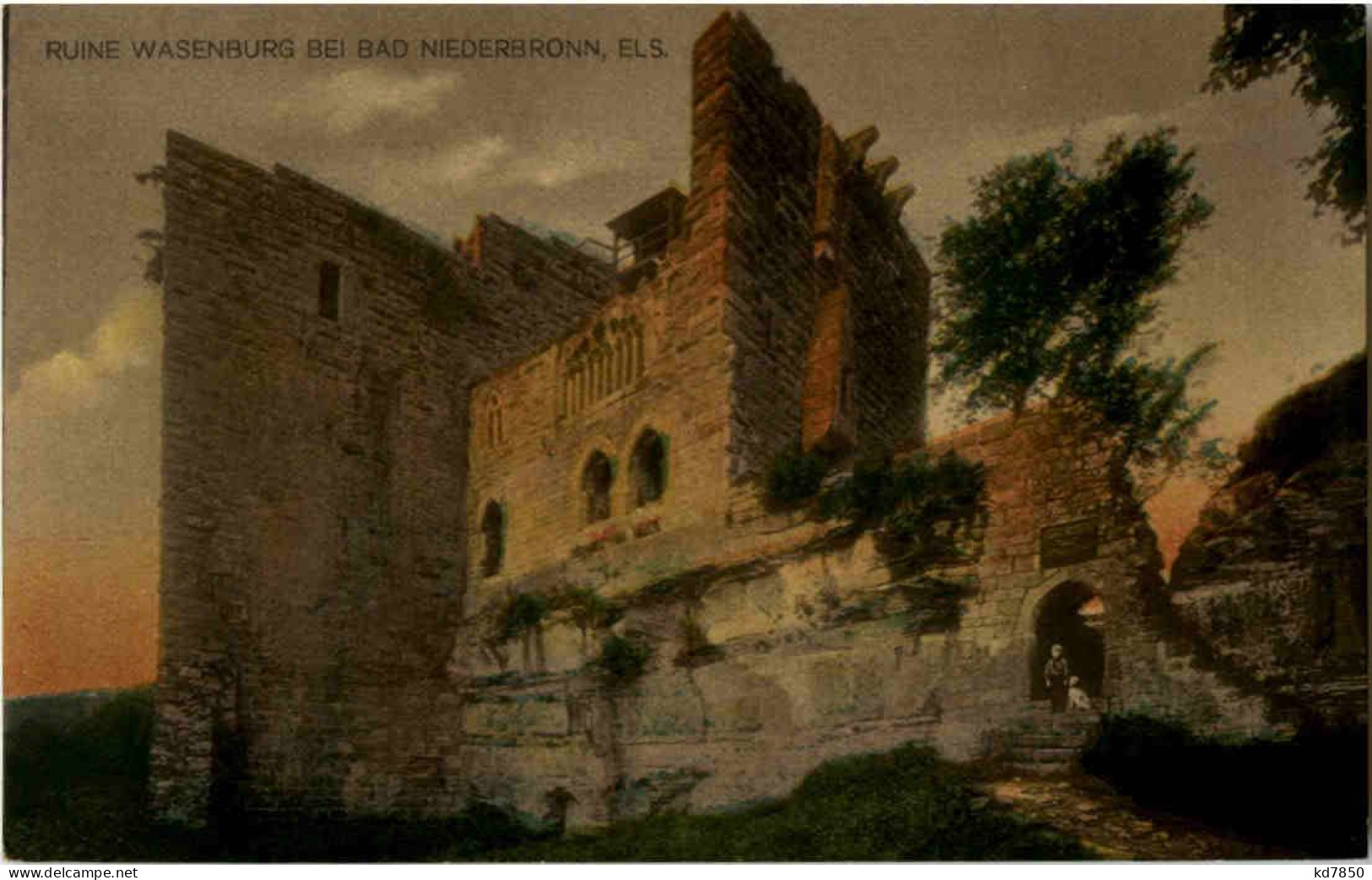 Ruine Wasenburg Bei Niederbronn - Niederbronn Les Bains