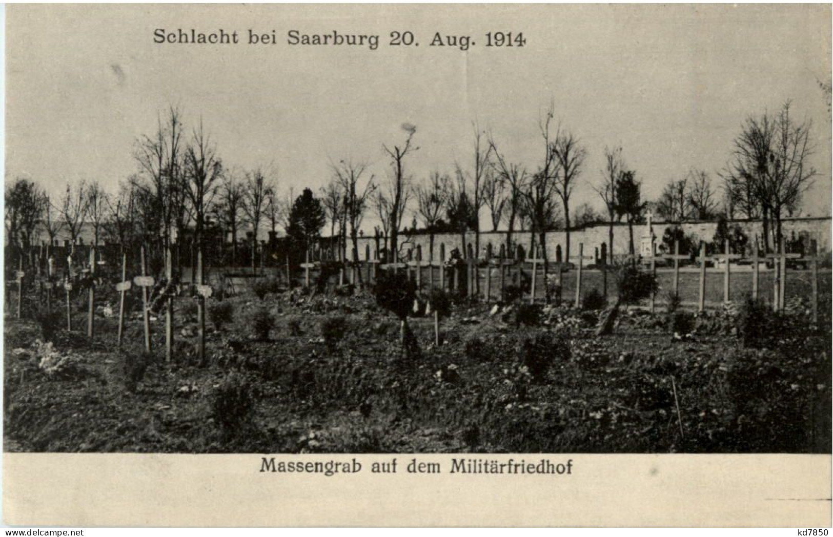 Schlacht Bei Saarburg - Massengrab Auf Dem Militärfriedhof - Sarrebourg