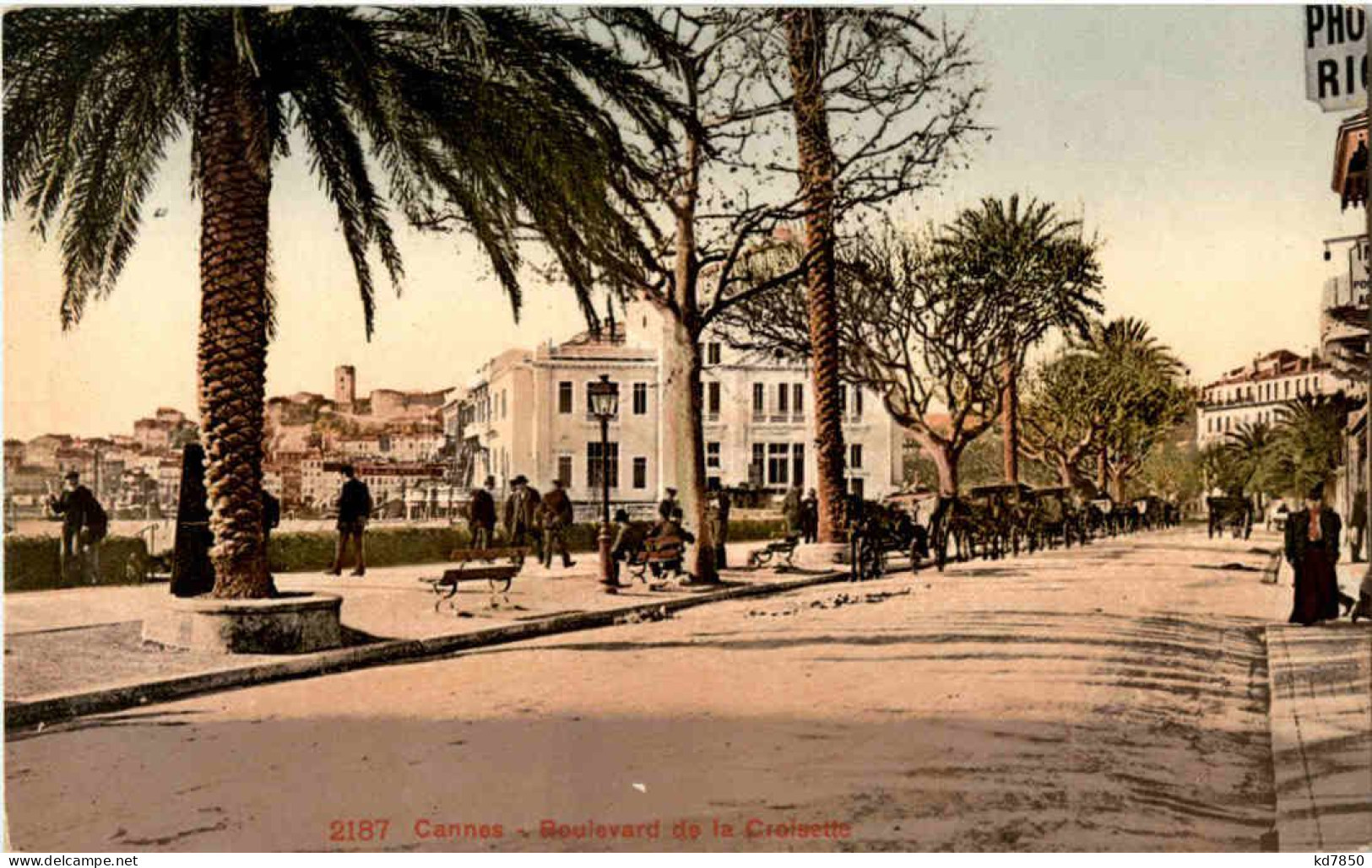 Cannes - Boulevard De La Croisette - Cannes