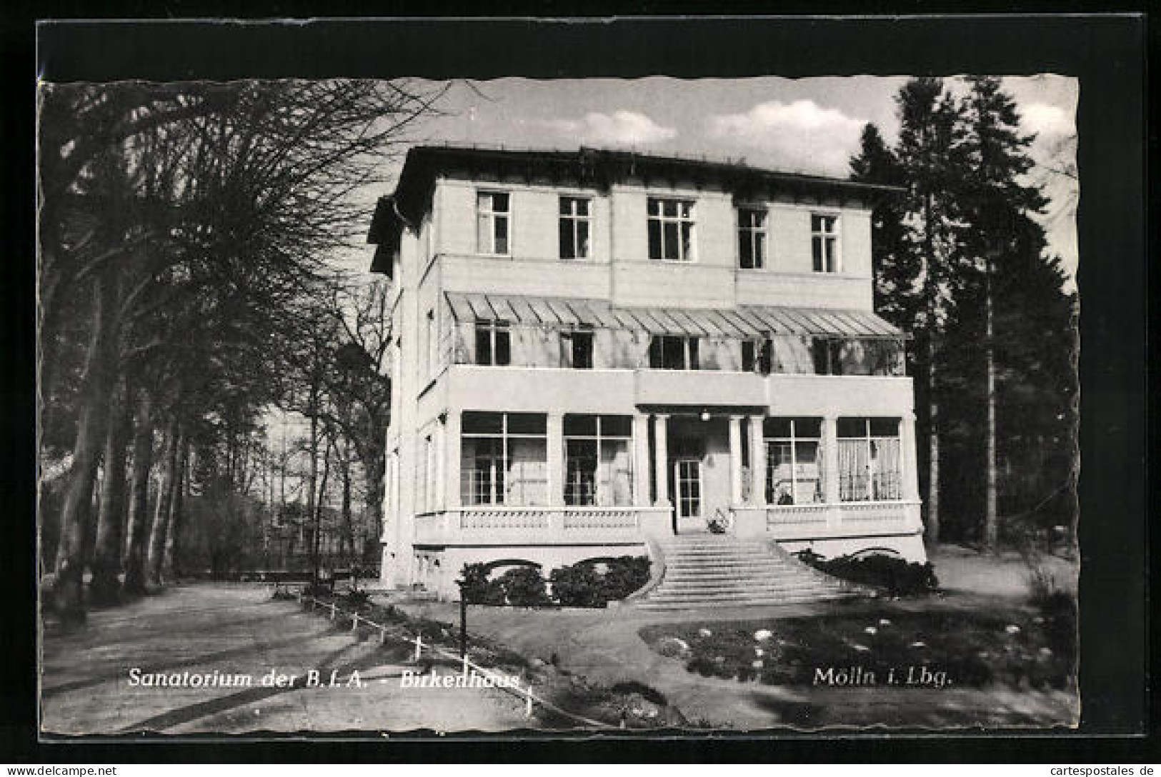 AK Mölln I. Lbg., Sanatorium Der B.f.A.- Hotel Birkenhaus  - Moelln