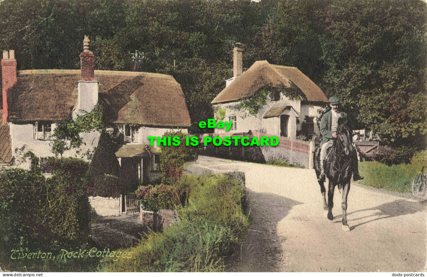 R565999 Tiverton. Rock Cottages. Friths Series. 1907 - Welt