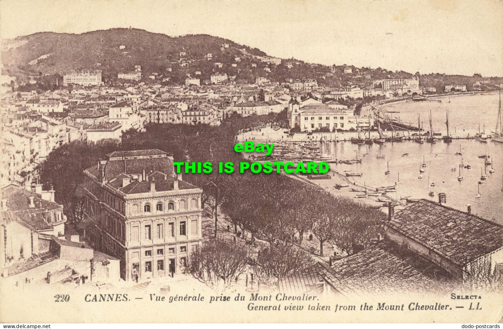 R566368 220. Cannes. General View Taken From Mount Chevalier. Selecta. LL. Levy - Welt