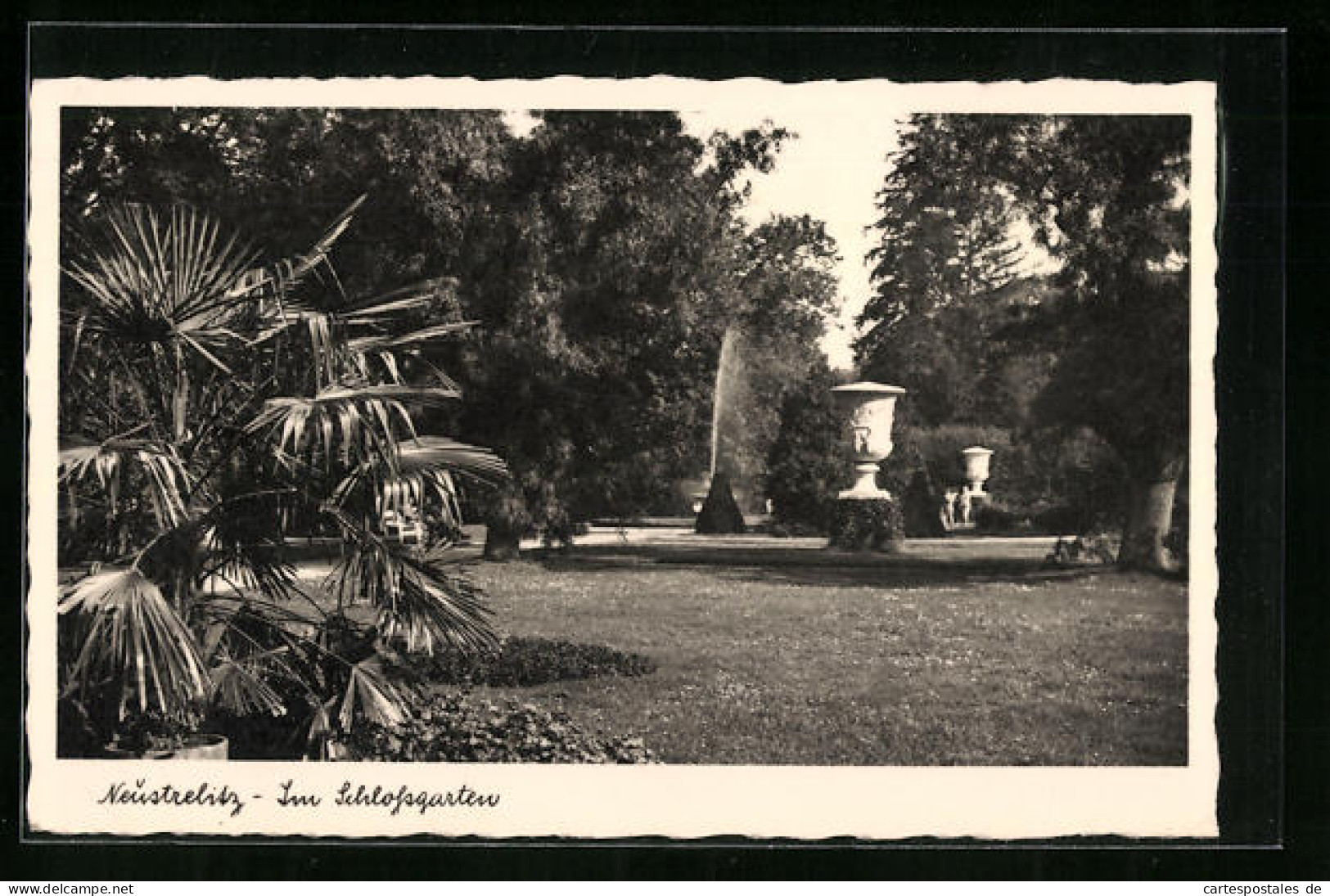 AK Neustrelitz, Im Schlossgarten  - Neustrelitz